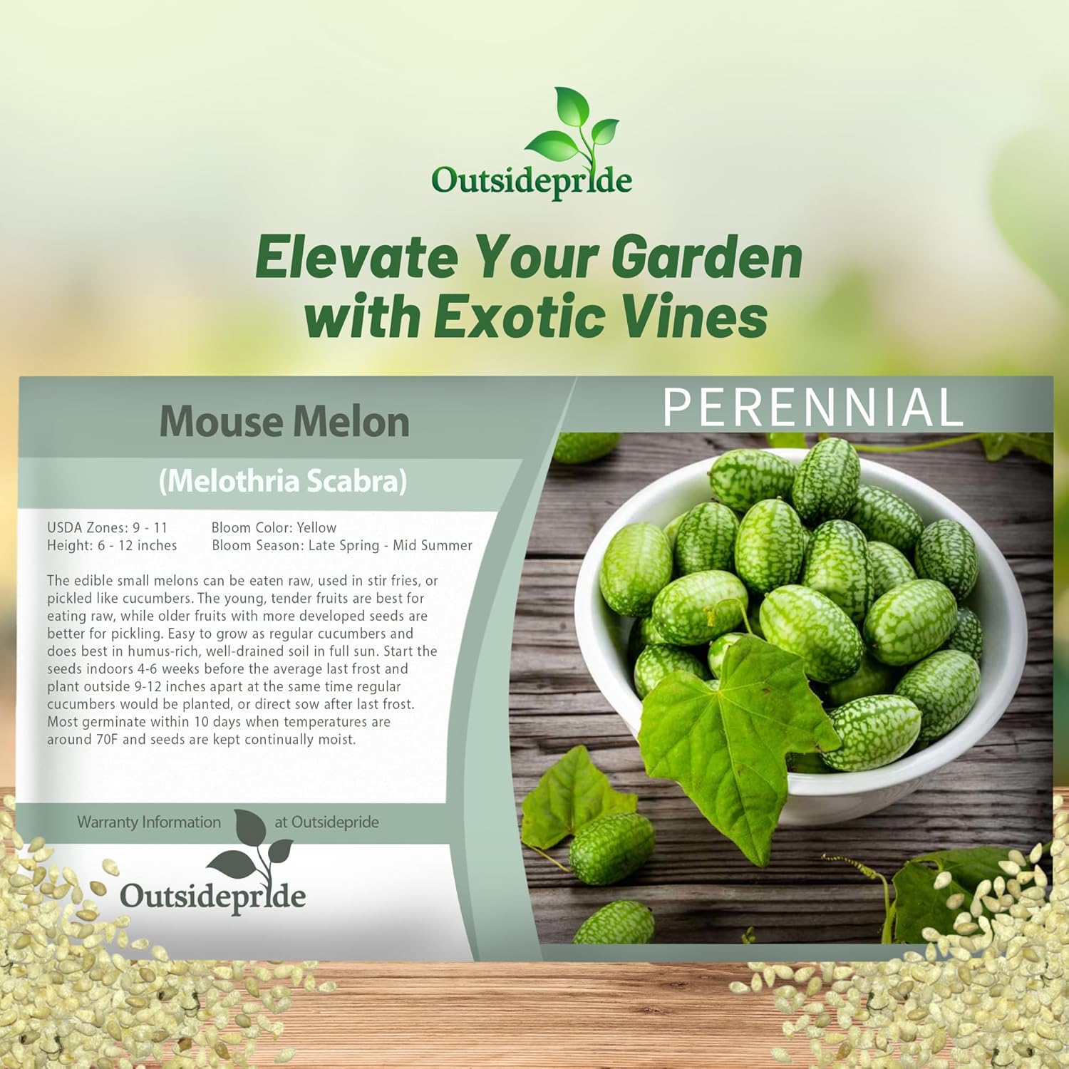 Mouse Melon Fruit Seed Packet