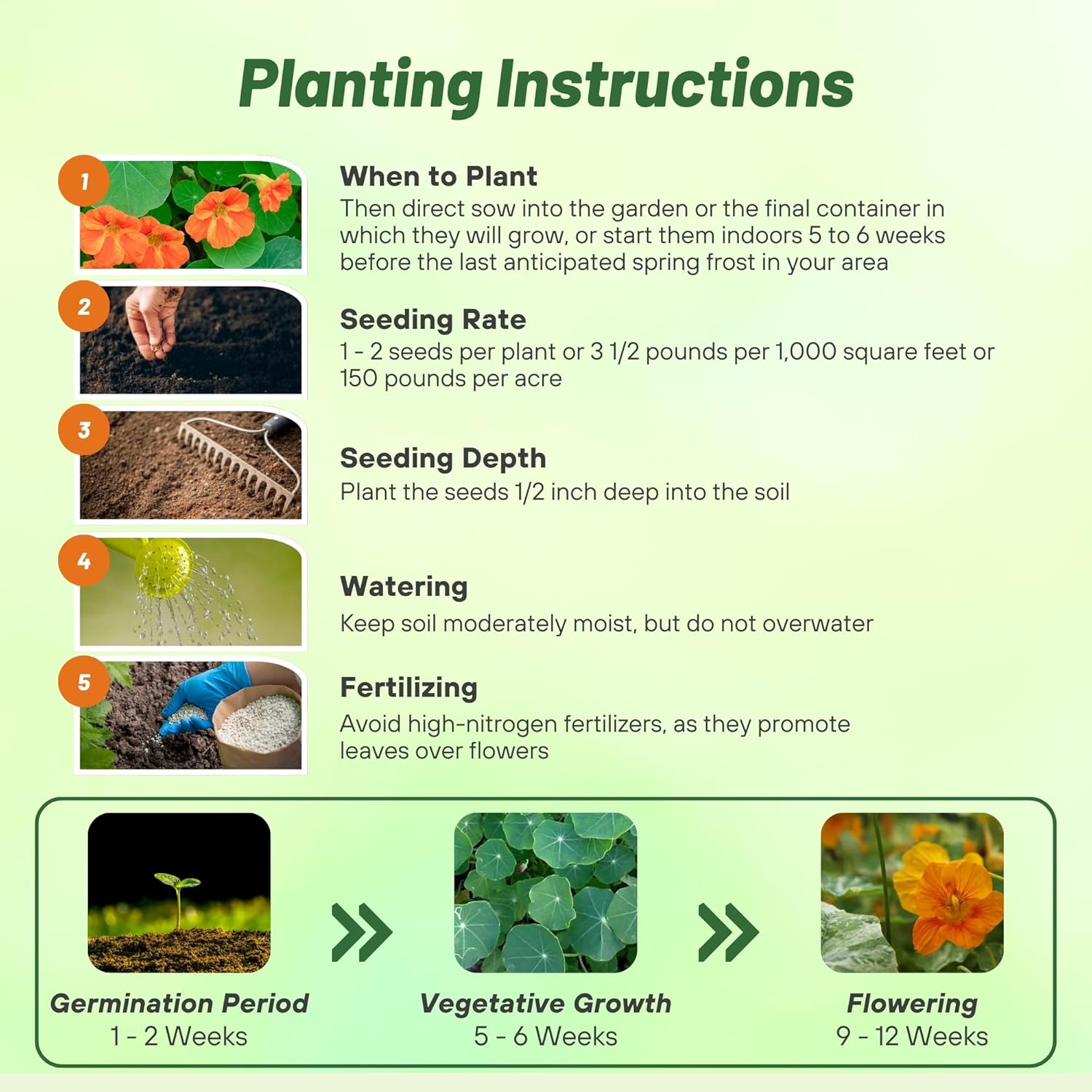 Nasturtium Alaska Apricot Planting Directions
