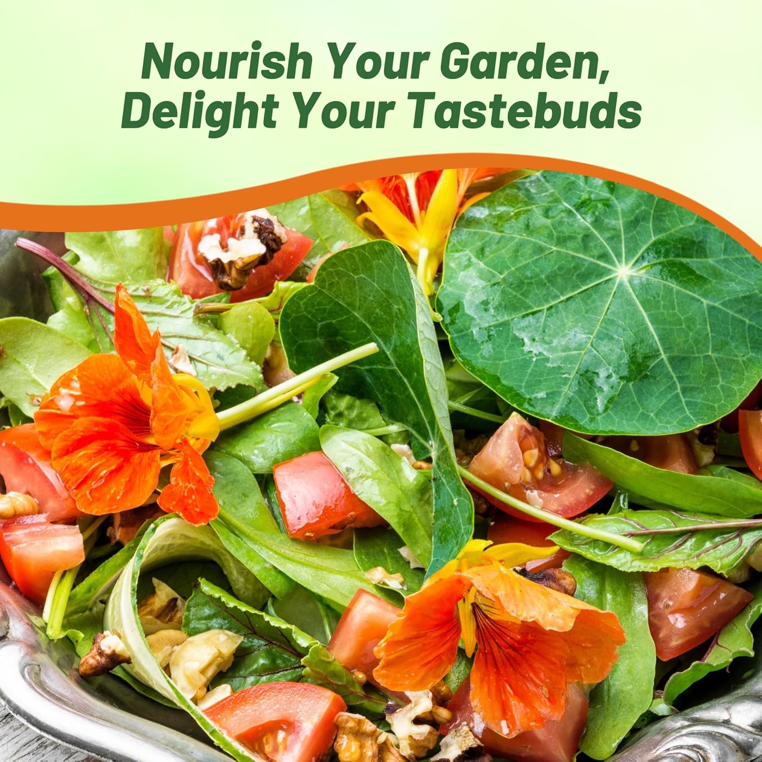 Nasturtium Alaska Apricot Flower Seeds