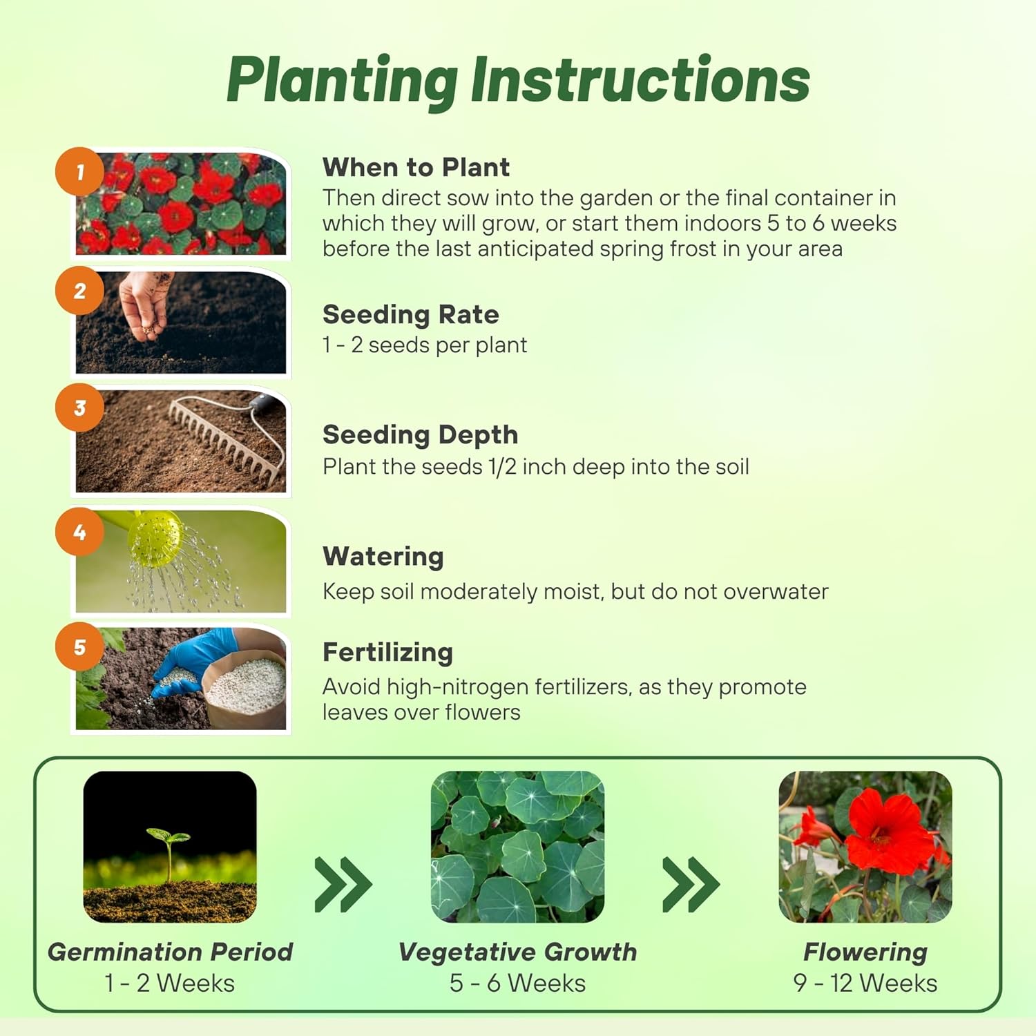 Nasturtium Empress of India Planting Directions