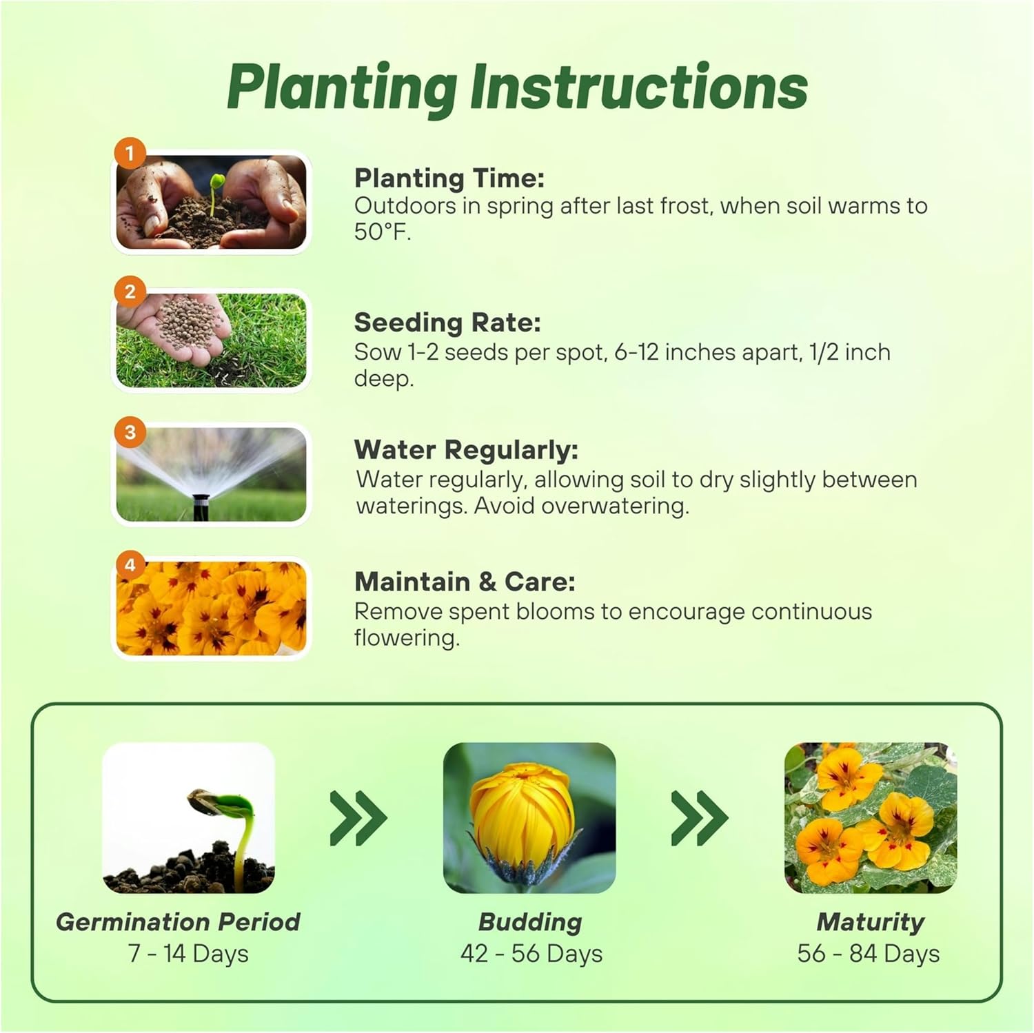 Tropaeolum Ladybird Planting Directions