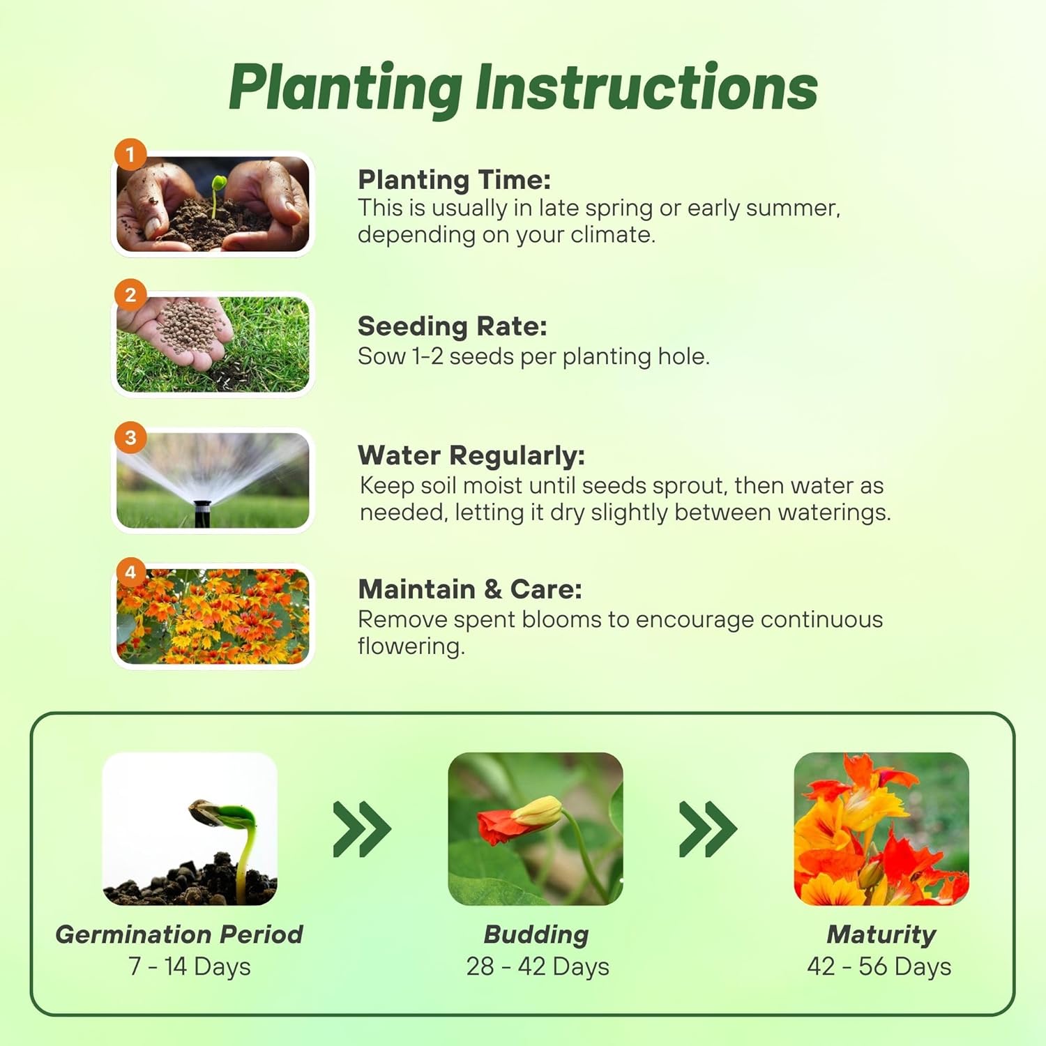 Nasturtium Phoenix Planting Directions