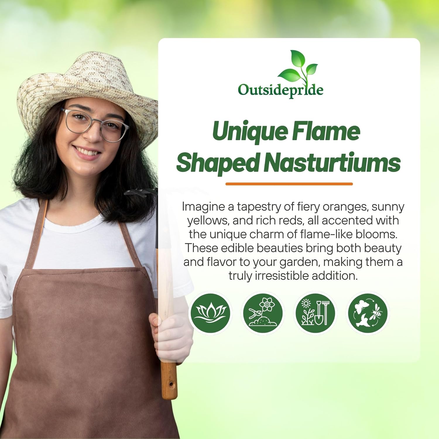 Nasturtium Phoenix Climbing Vine Seeds