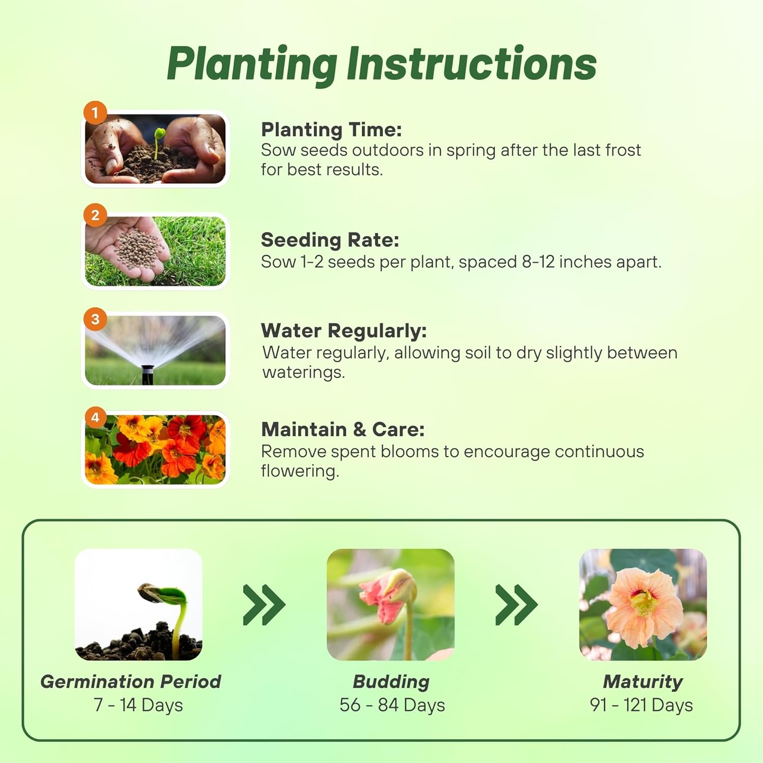 Nasturtium Salmon Planting Directions