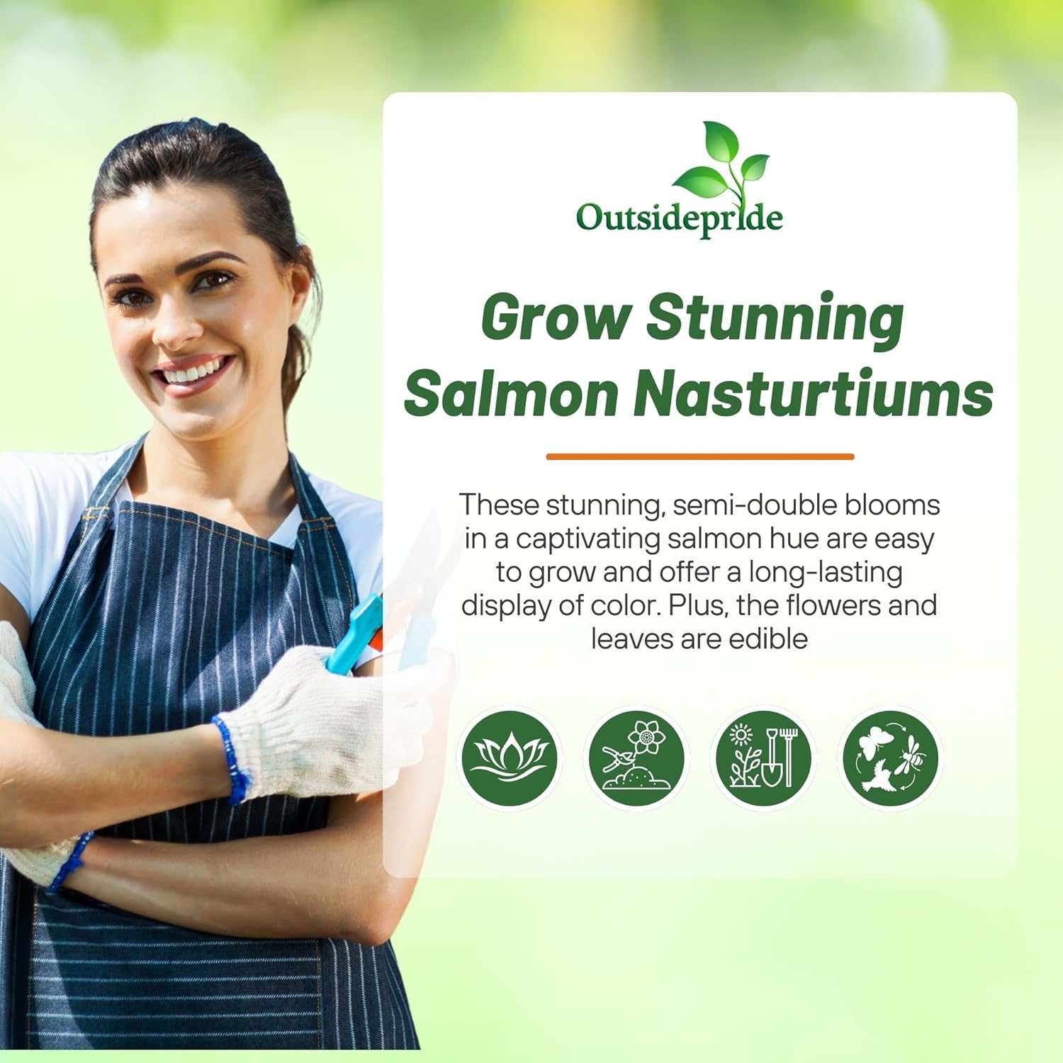 Nasturtium Double Gleam Salmon Seeds