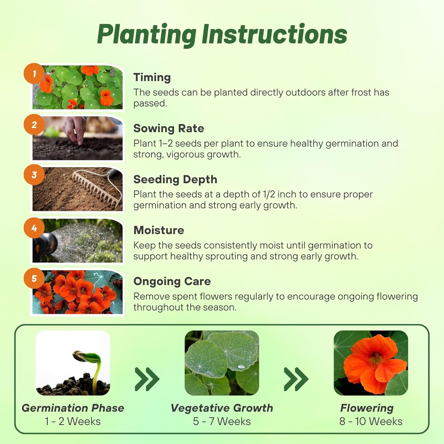 Nasturtium Spitfire Planting Directions