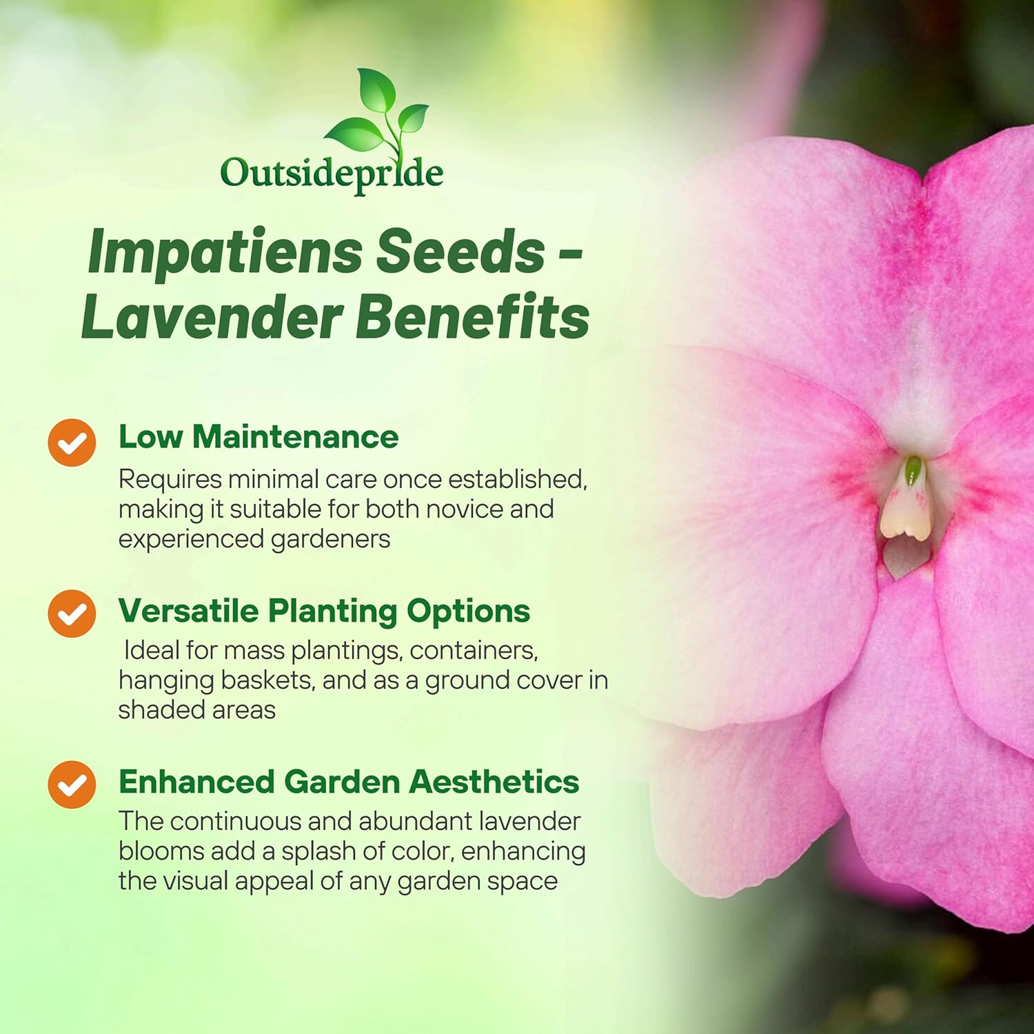 New Guinea Impatiens Lavender Basket
