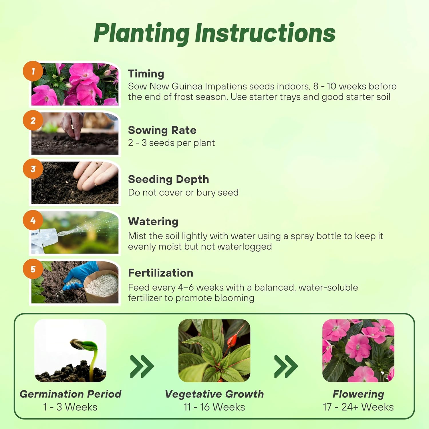 New Guinea Impatiens Lavender Planting Directions