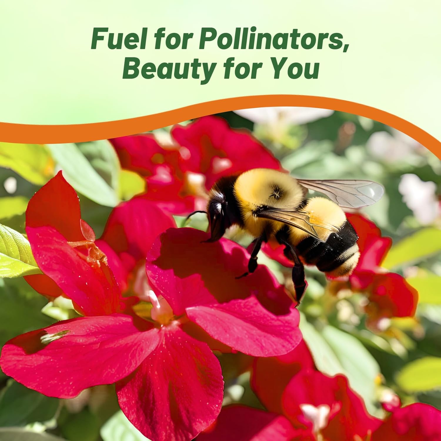 New Guinea Impatiens Red Flower Garden