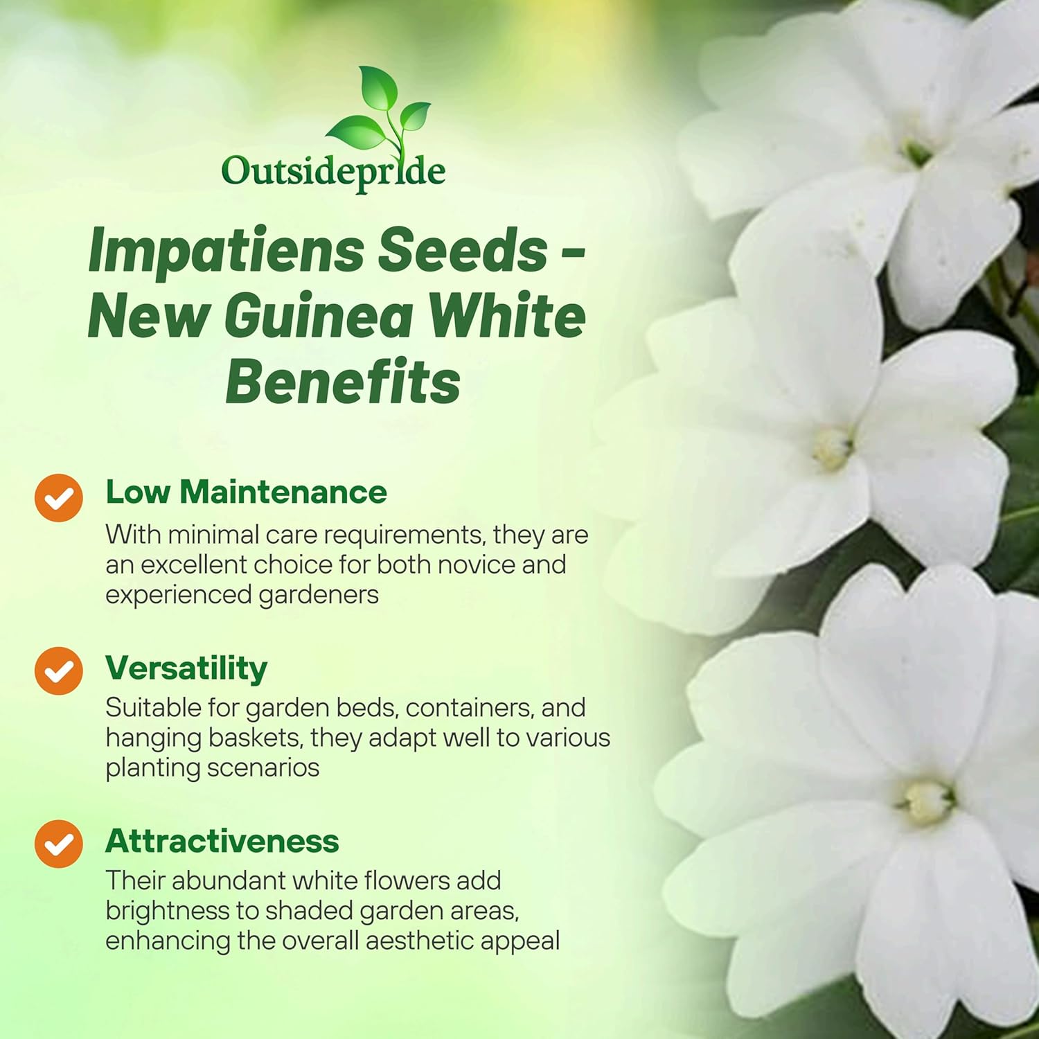 New Guinea Impatiens White Seeds