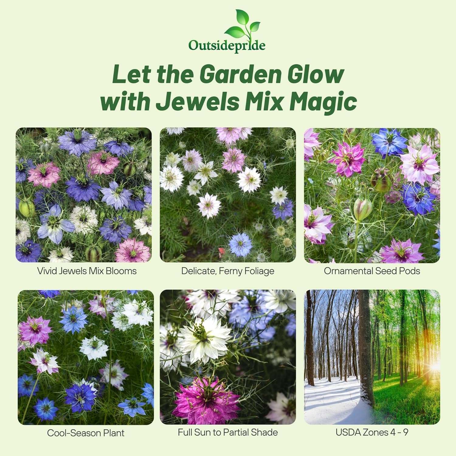 Nigella Damascena Jewels Flower Mix