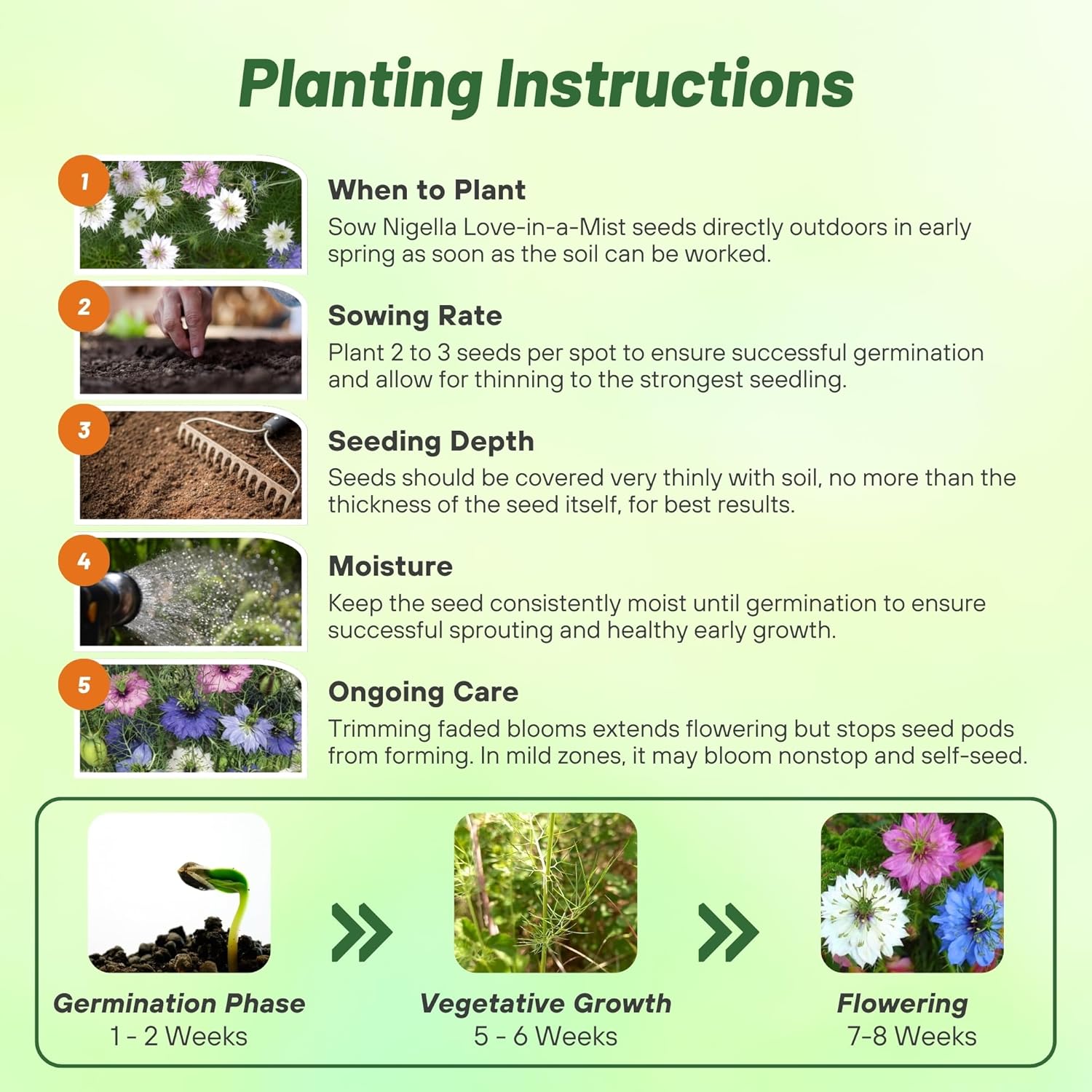 Love-In-A-Mist Mix Planting Directions