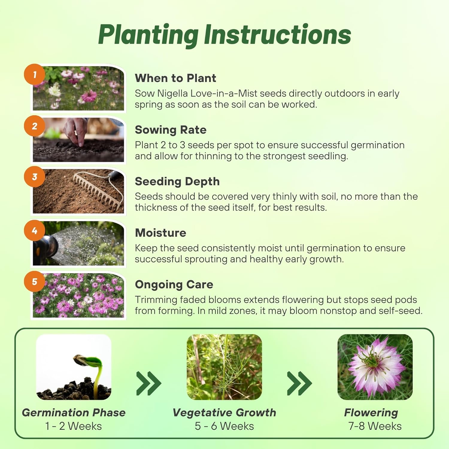 Nigella Rose Planting Directions