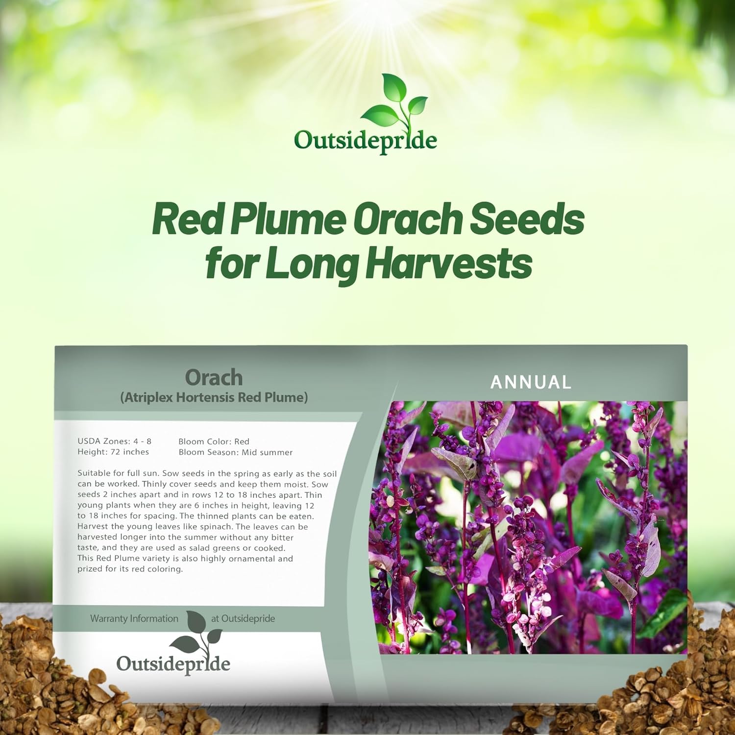 Orach Flower Seed Packet