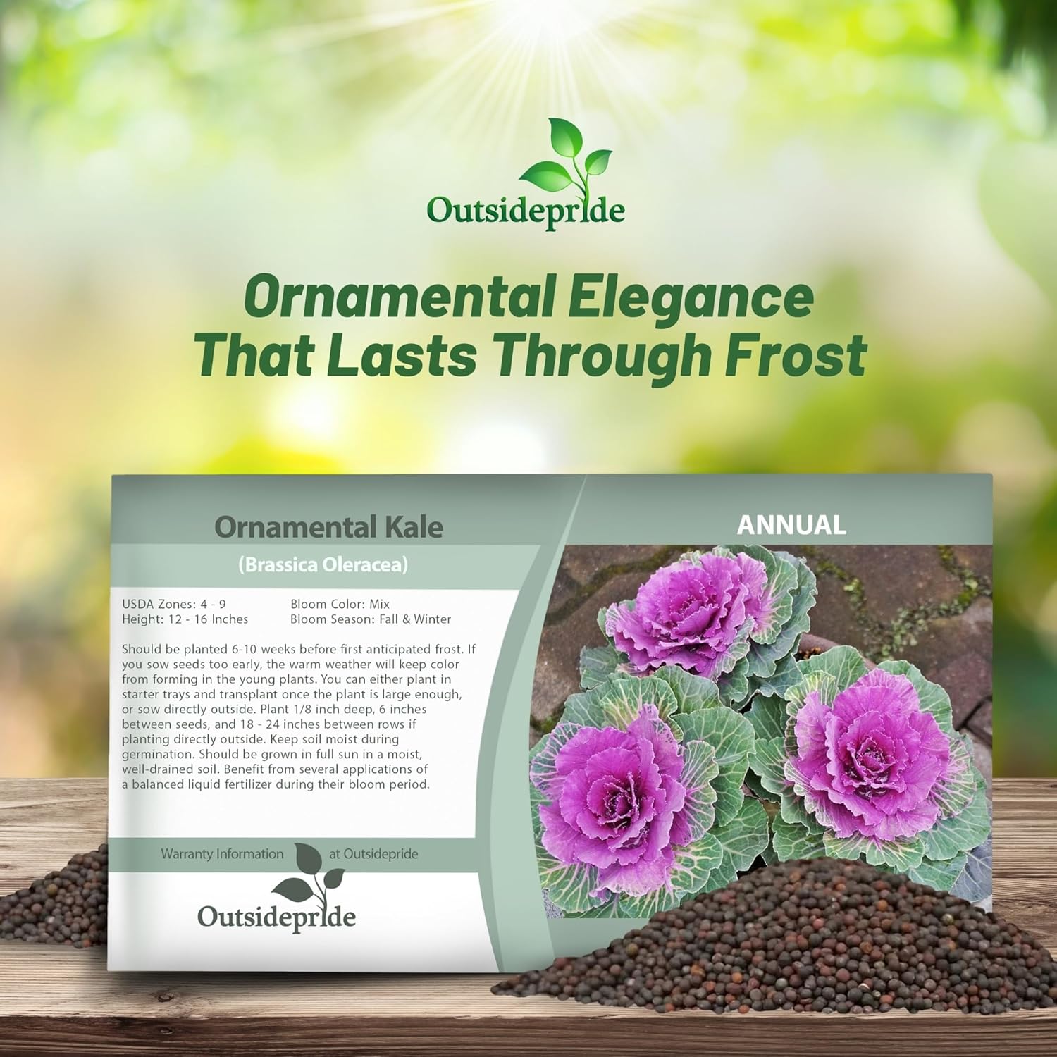 Ornamental Kale Seed Packet