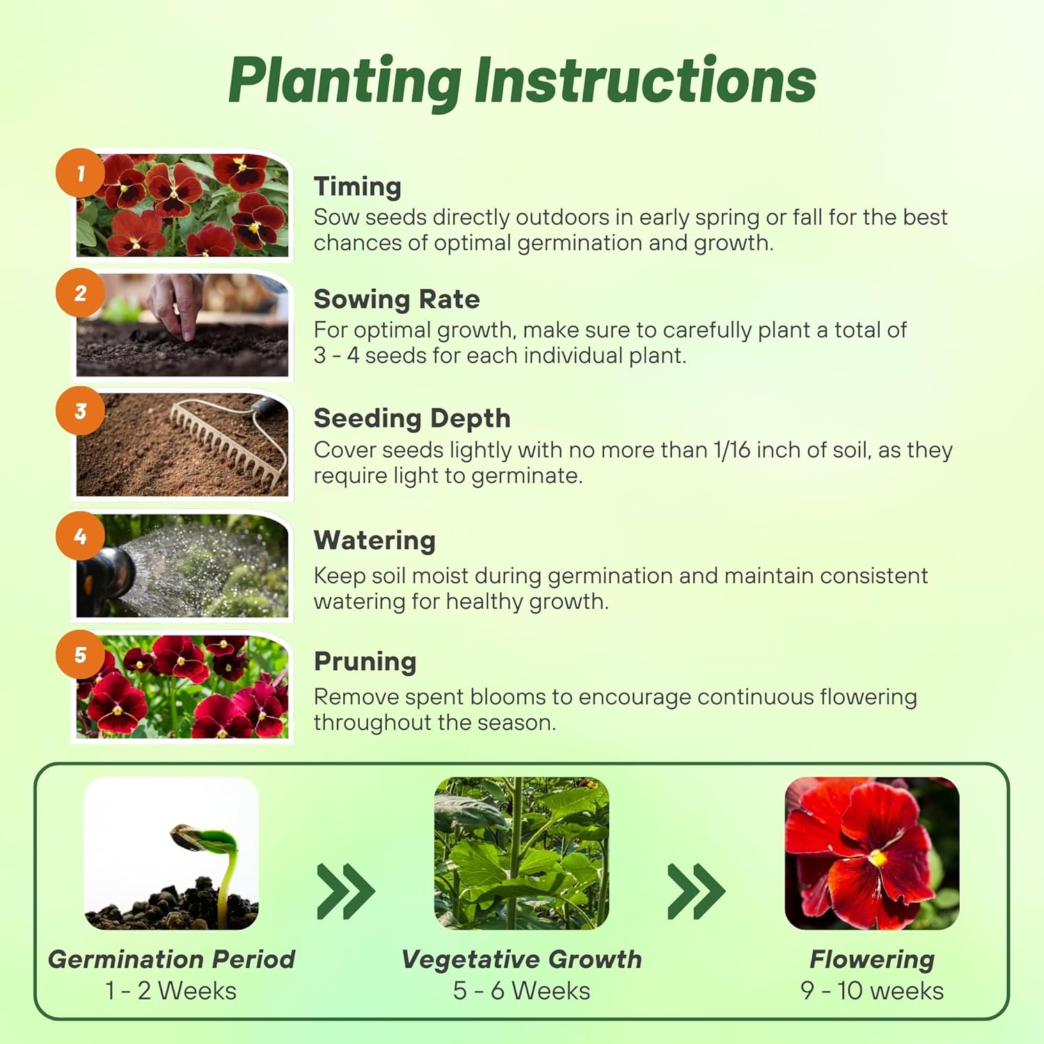 Viola Large Arkwright Planting Directions