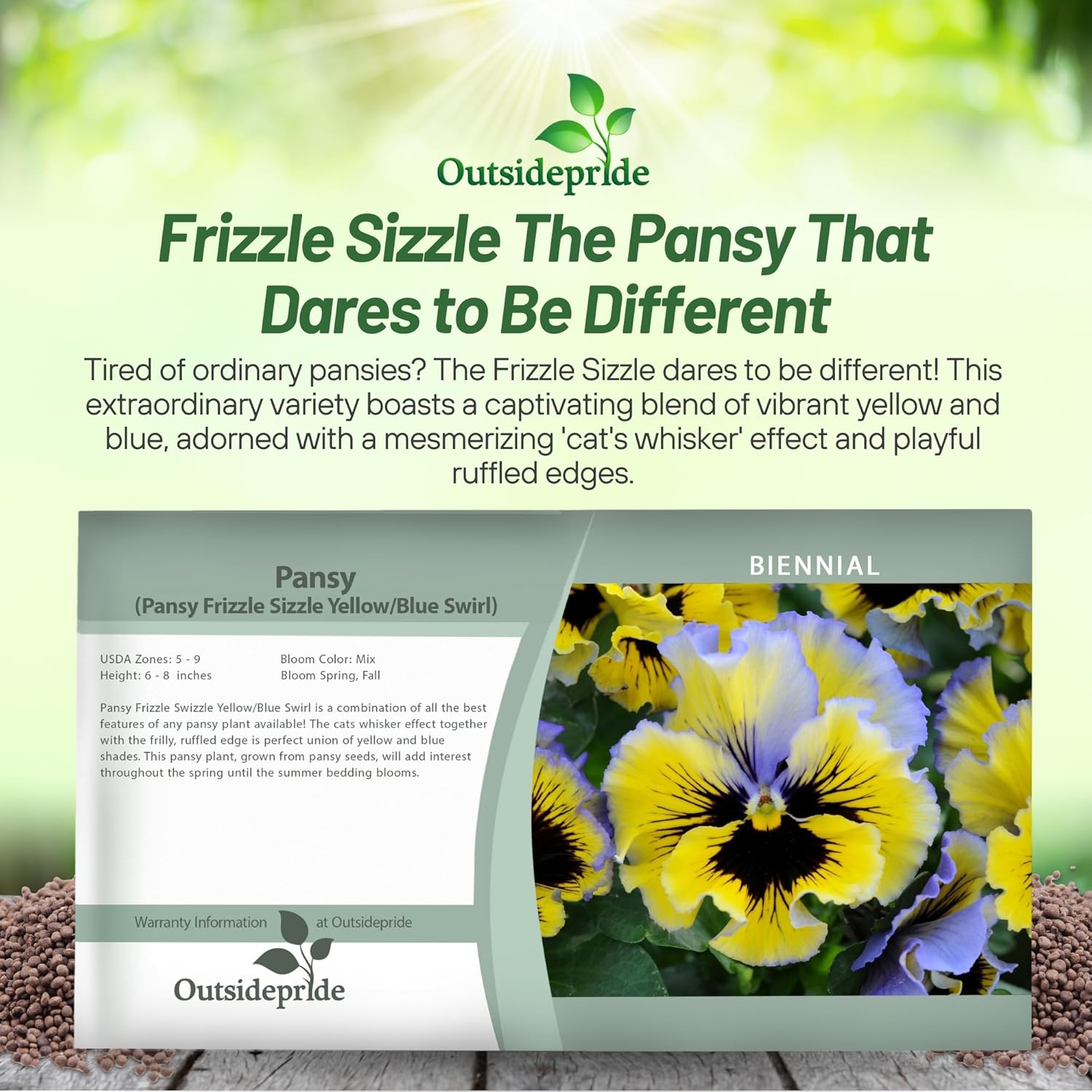 Pansy Frizzle Sizzle Yellow/Blue Swirl Packets
