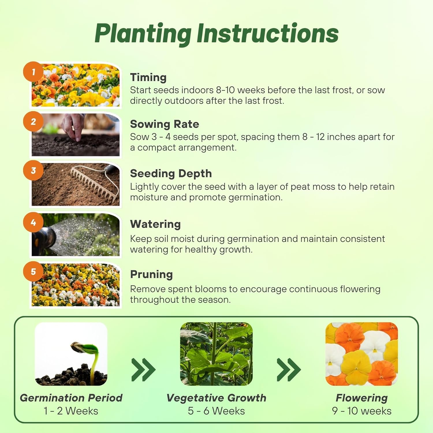 Pansy Panola Citrus Planting Directions