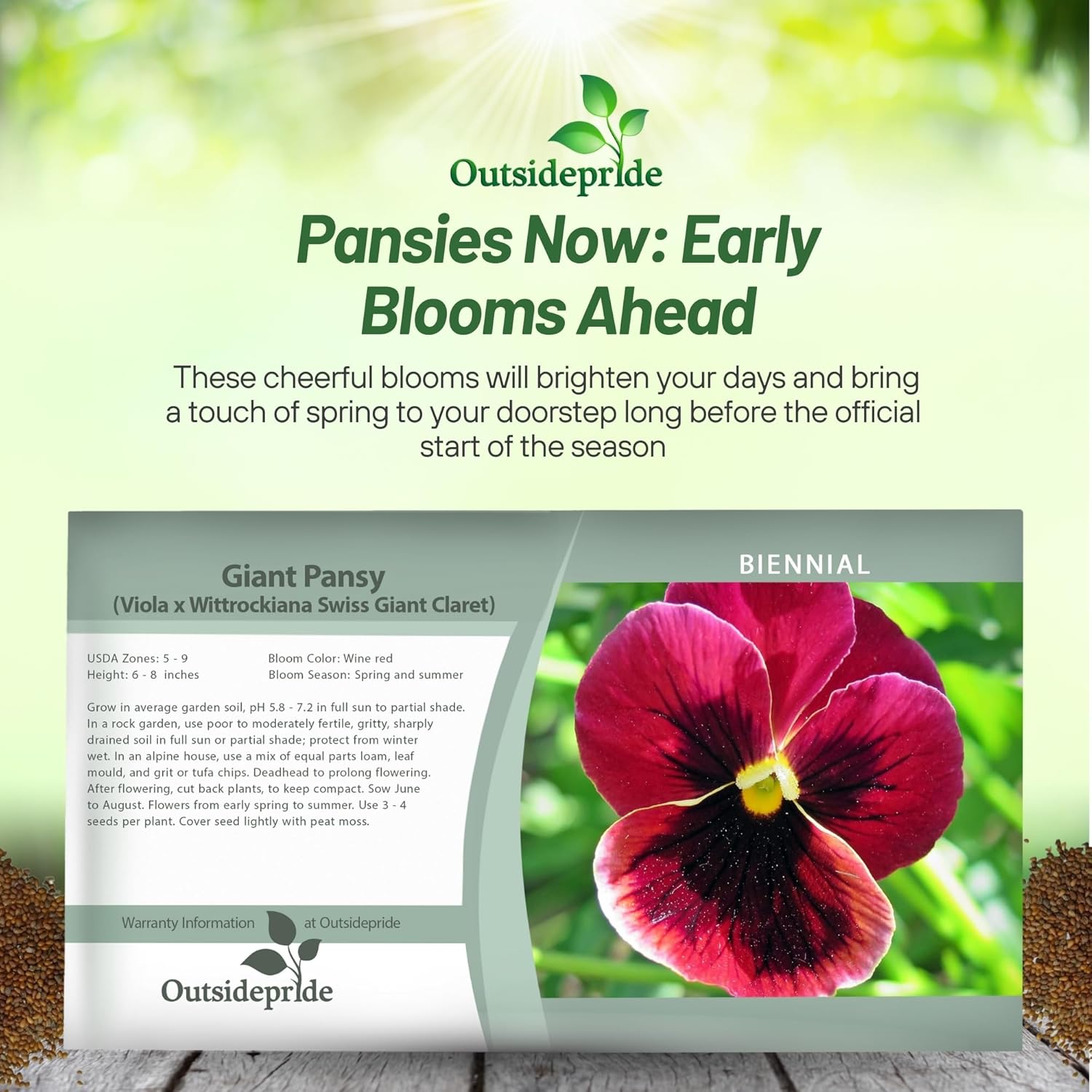 Viola Swiss Giants Claret Seed Packet