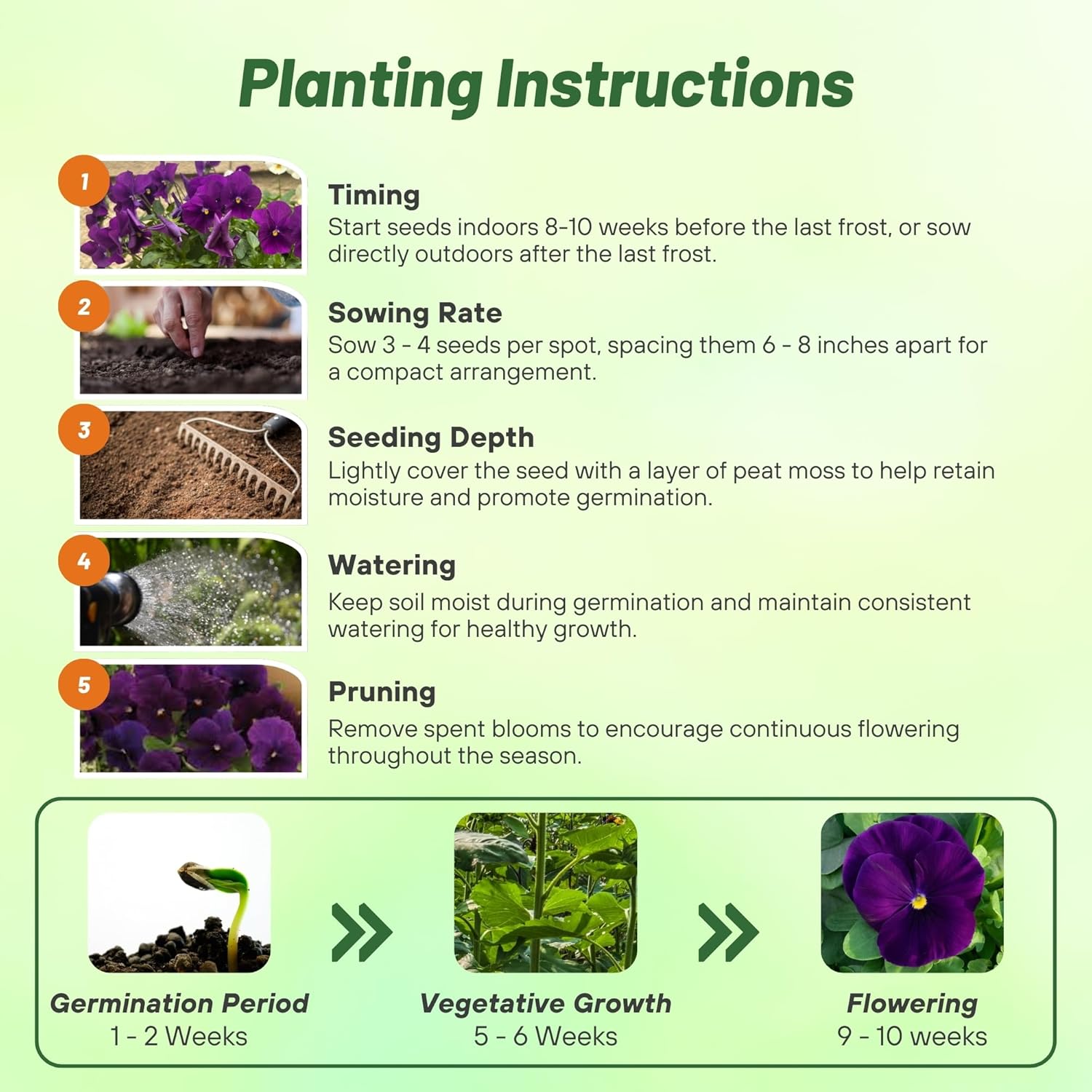 Pansy Giants Purple Planting Directions