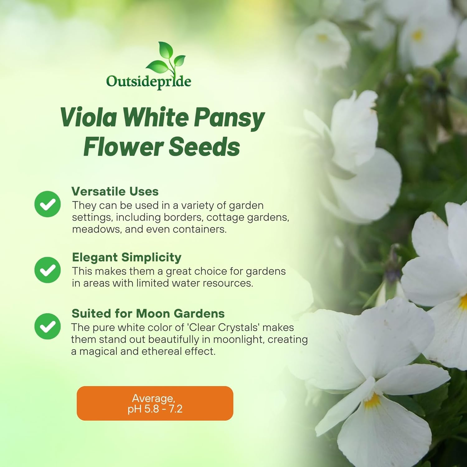 Viola Clear Crystals White Container Flowers