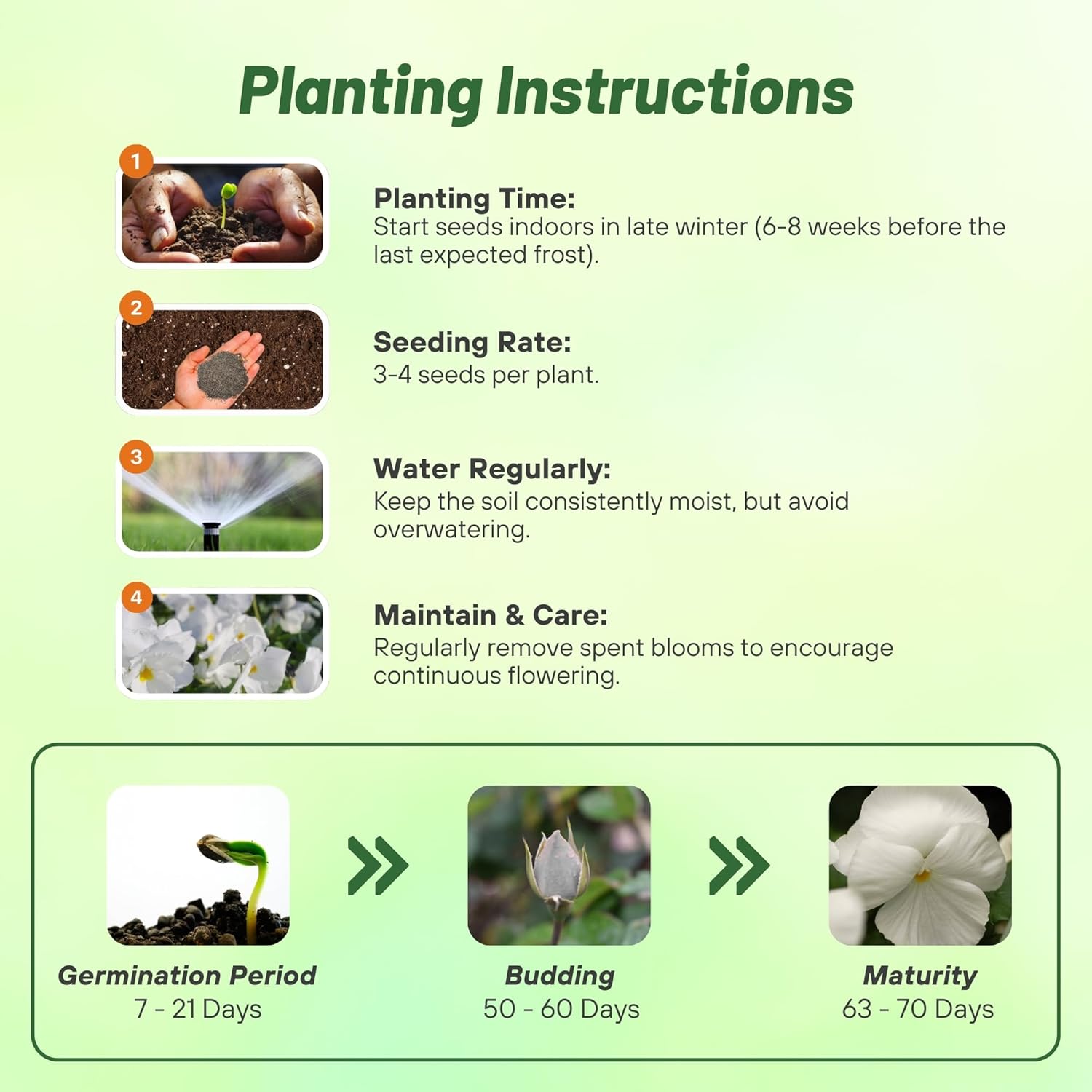 Viola Clear Crystals White Planting Directions