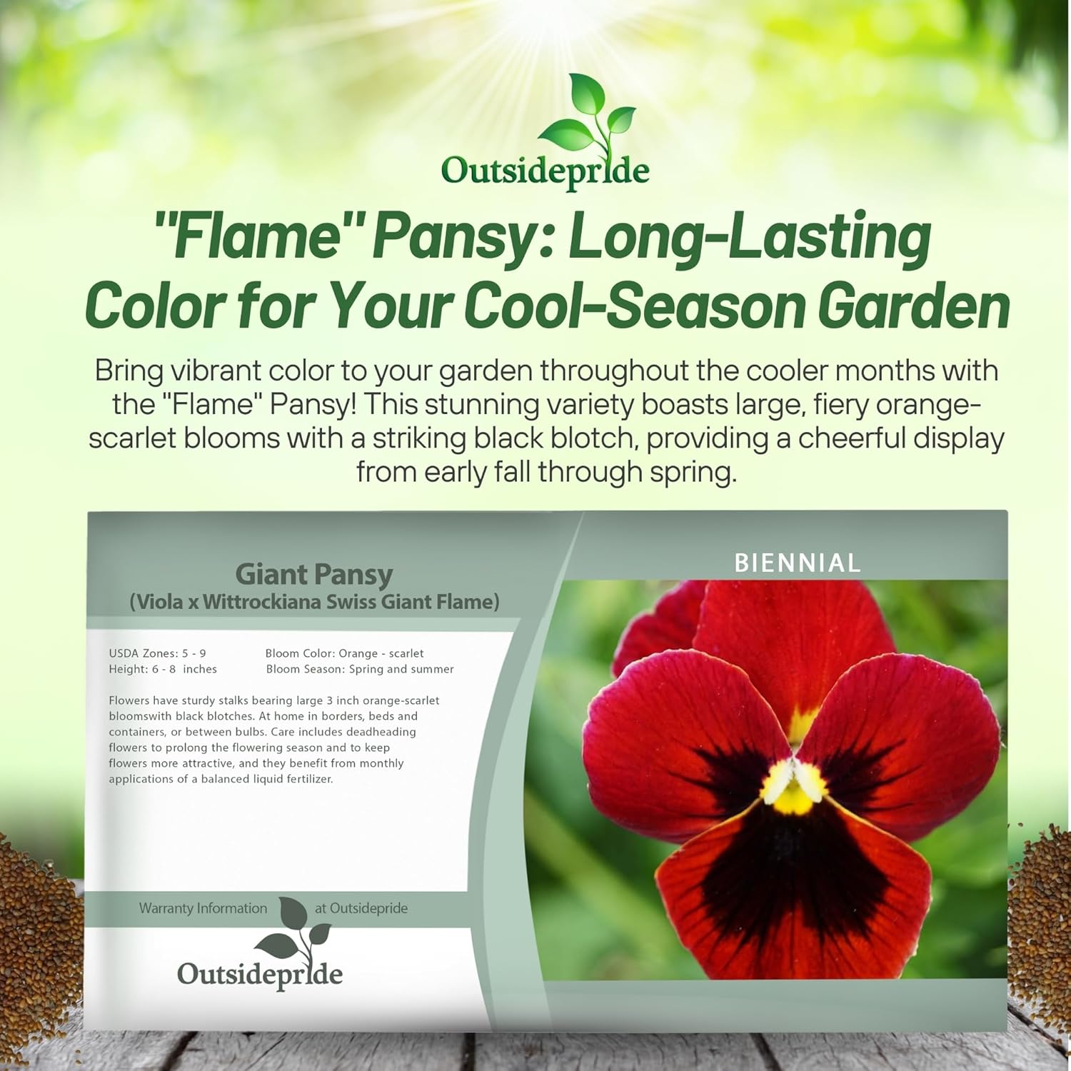 Viola Swiss Giants Flame Seed Packet