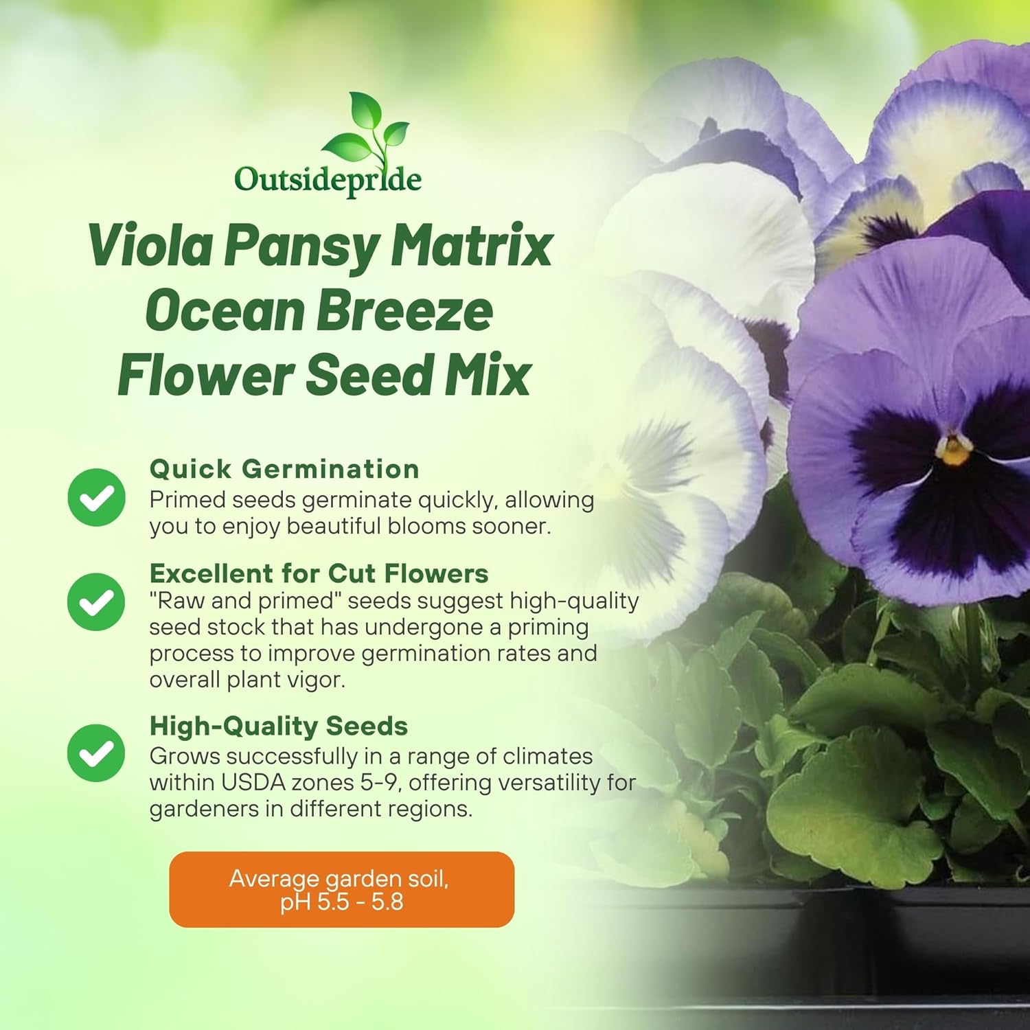 Pansy Ocean Breeze Flower Container Mixture
