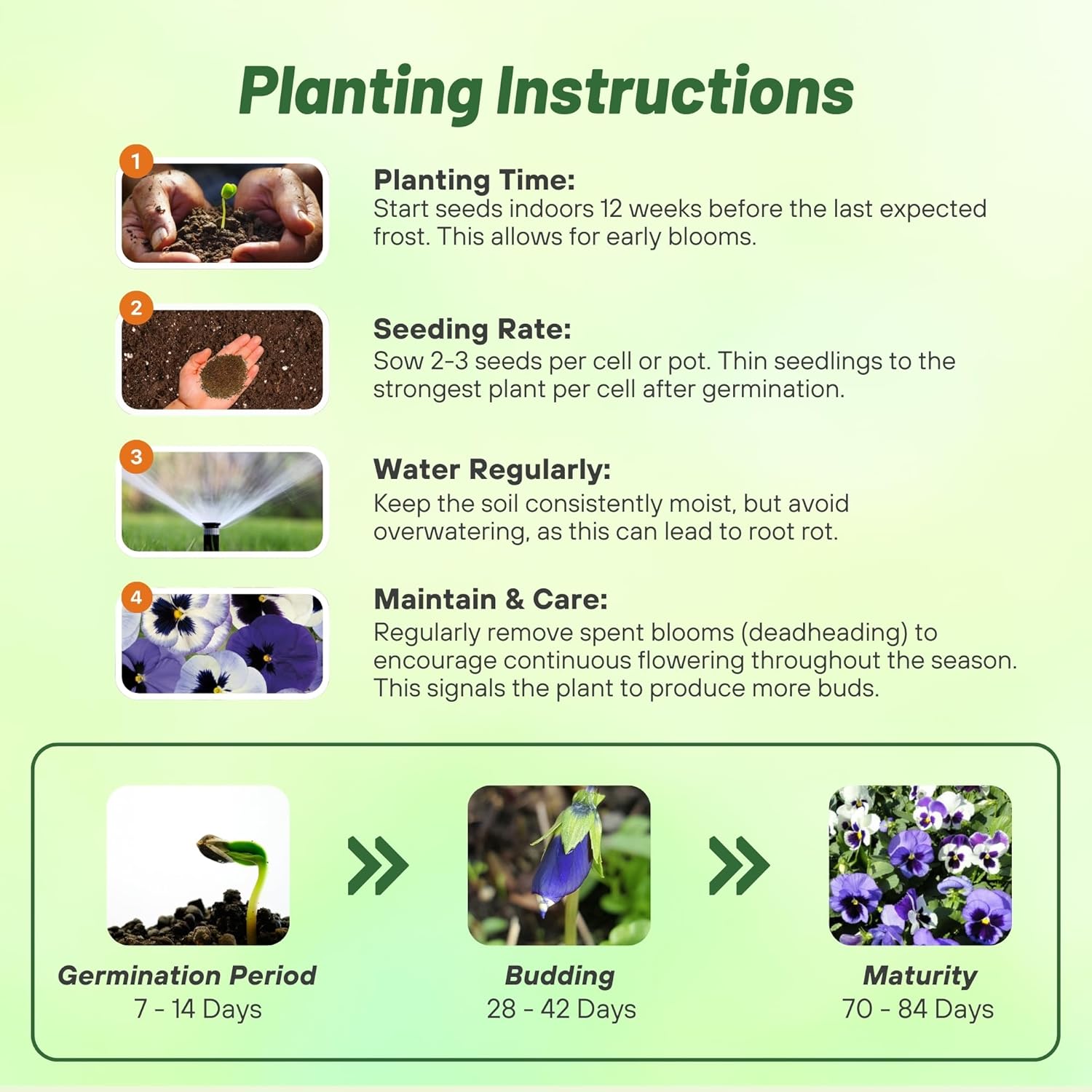 Pansy Ocean Breeze Planting Directions