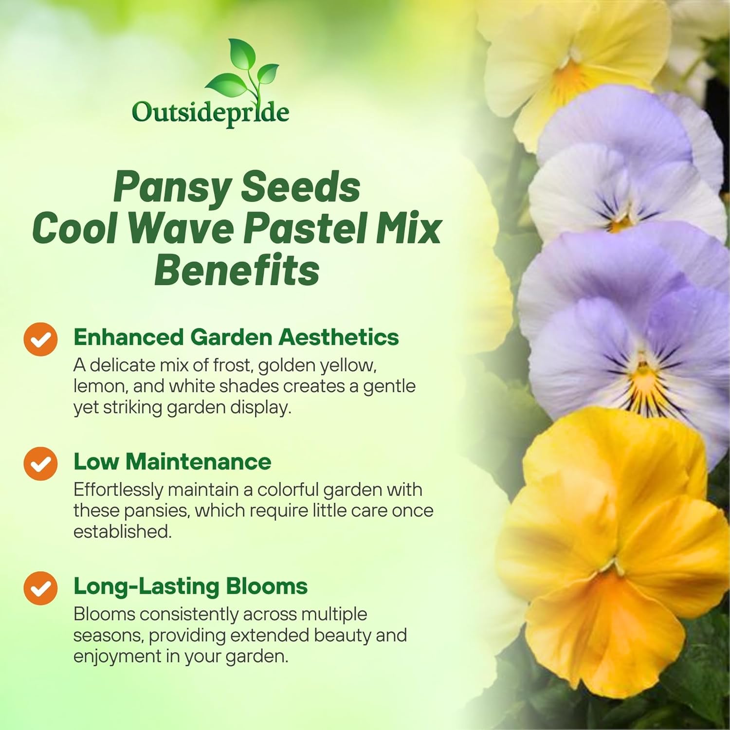 Pansy Cool Wave Pastel Flower Mix