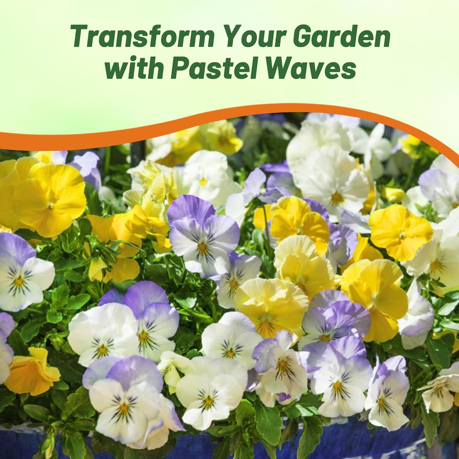 Pansy Cool Wave Pastel Seed Mix