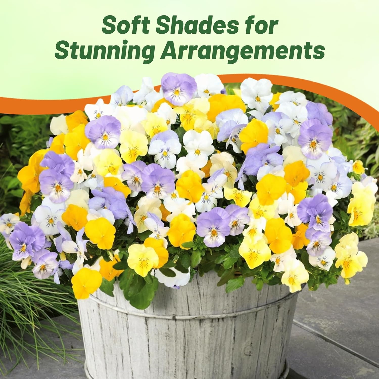 Pansy Cool Wave Pastel Container Flowers