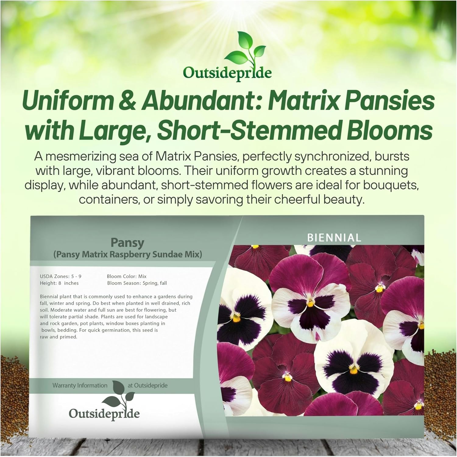 Pansy Matrix Raspberry Sundae Seed Packet