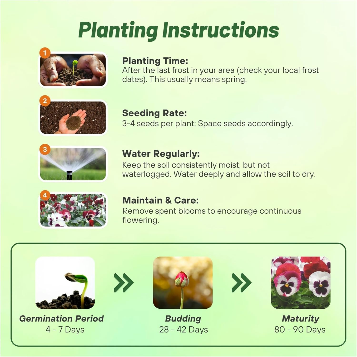 Pansy Matrix Raspberry Sundae Planting Directions