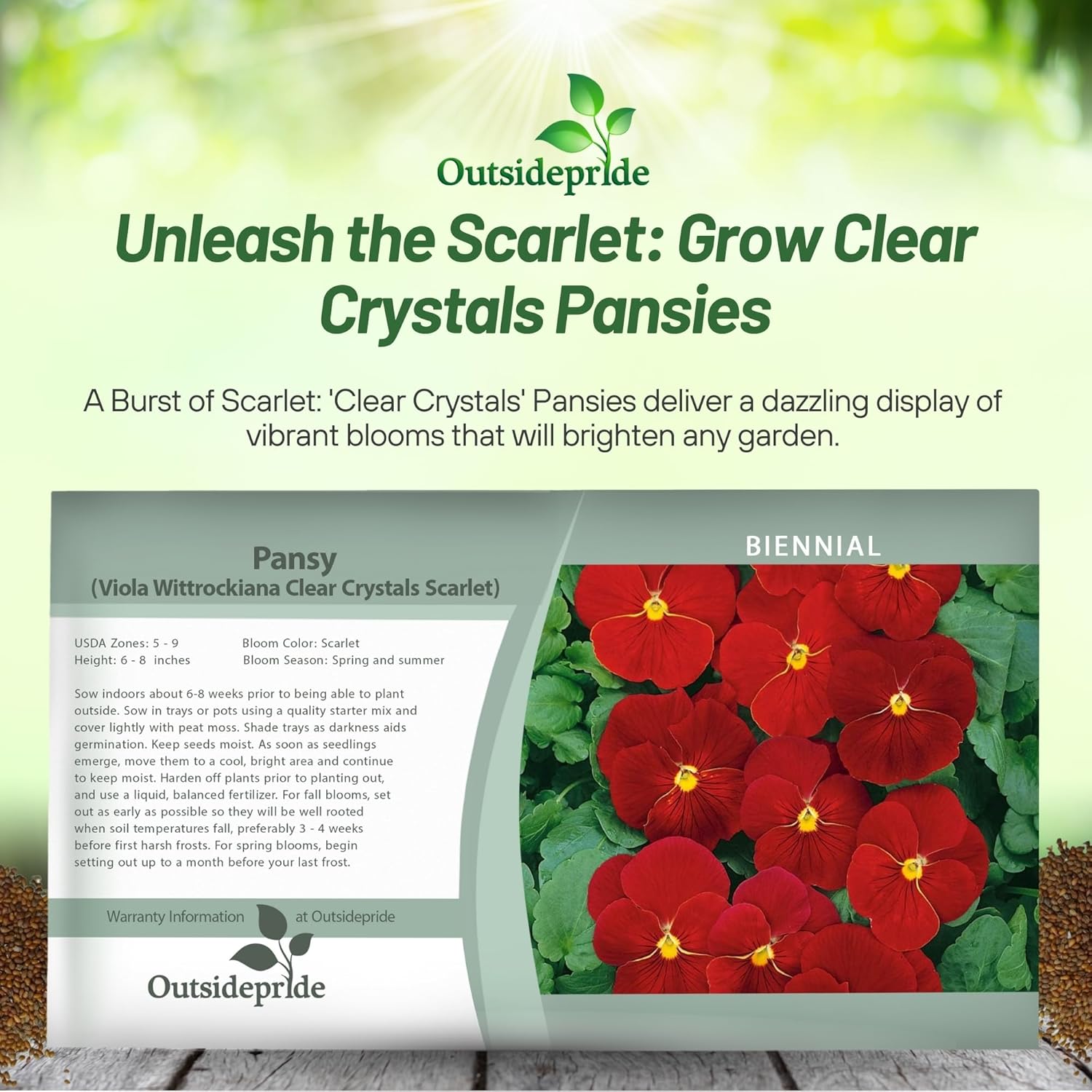 Viola Clear Crystals Scarlet Seed Packet