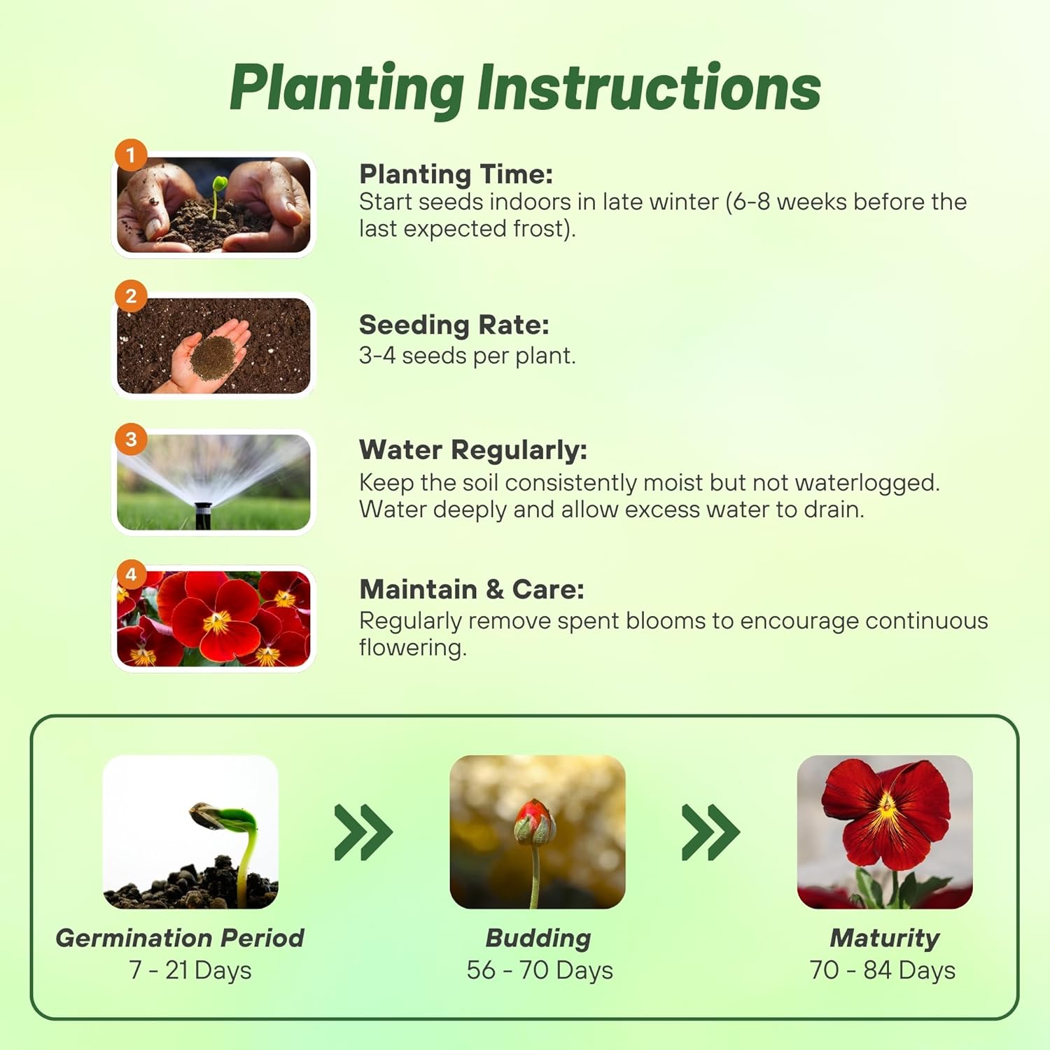 Viola Clear Crystals Scarlet Planting Diretions