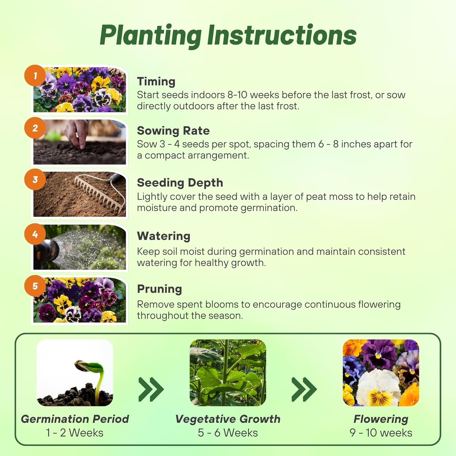 Pansy Frizzle Sizzle Mix Planting Diredtions