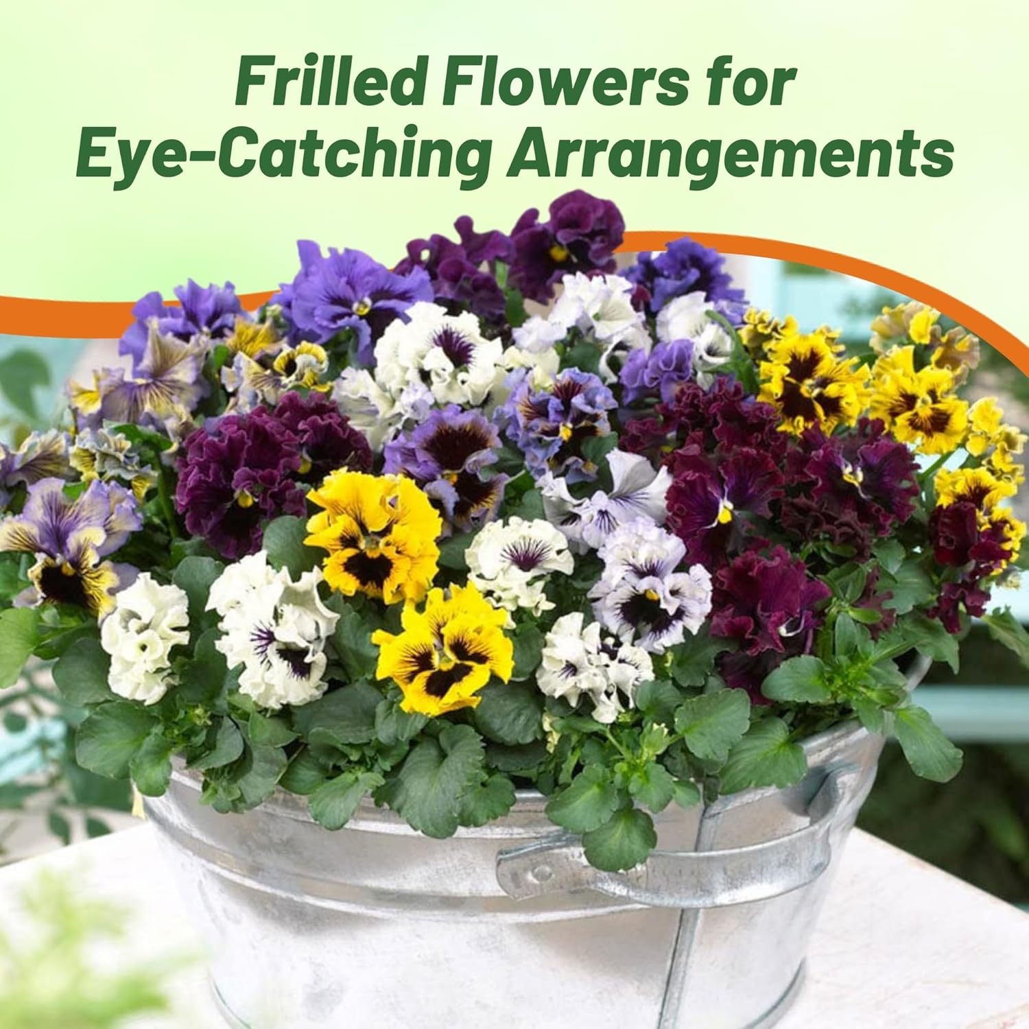 Pansy Frizzle Sizzle Seed Mix