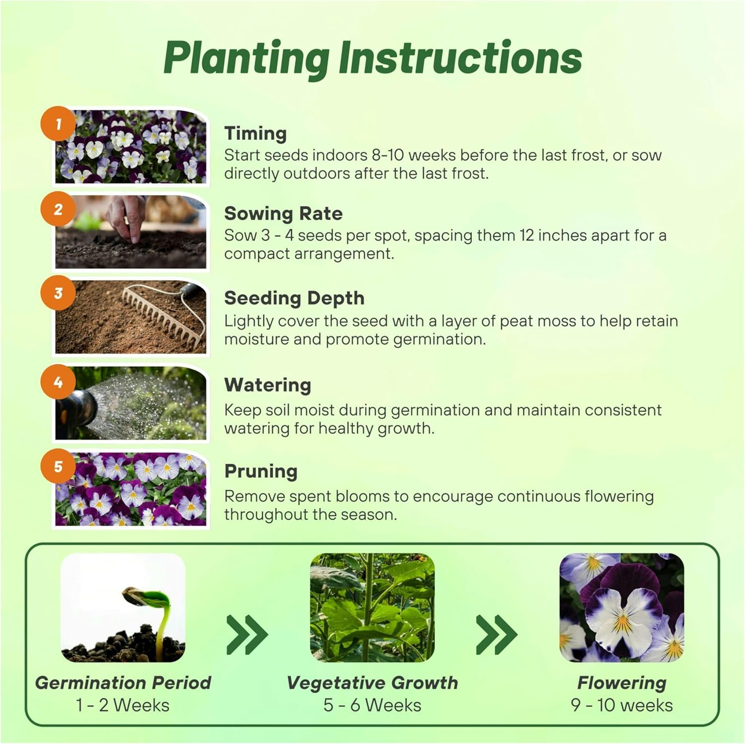 Pansy Cool Wave Violet Wing Planting Directions