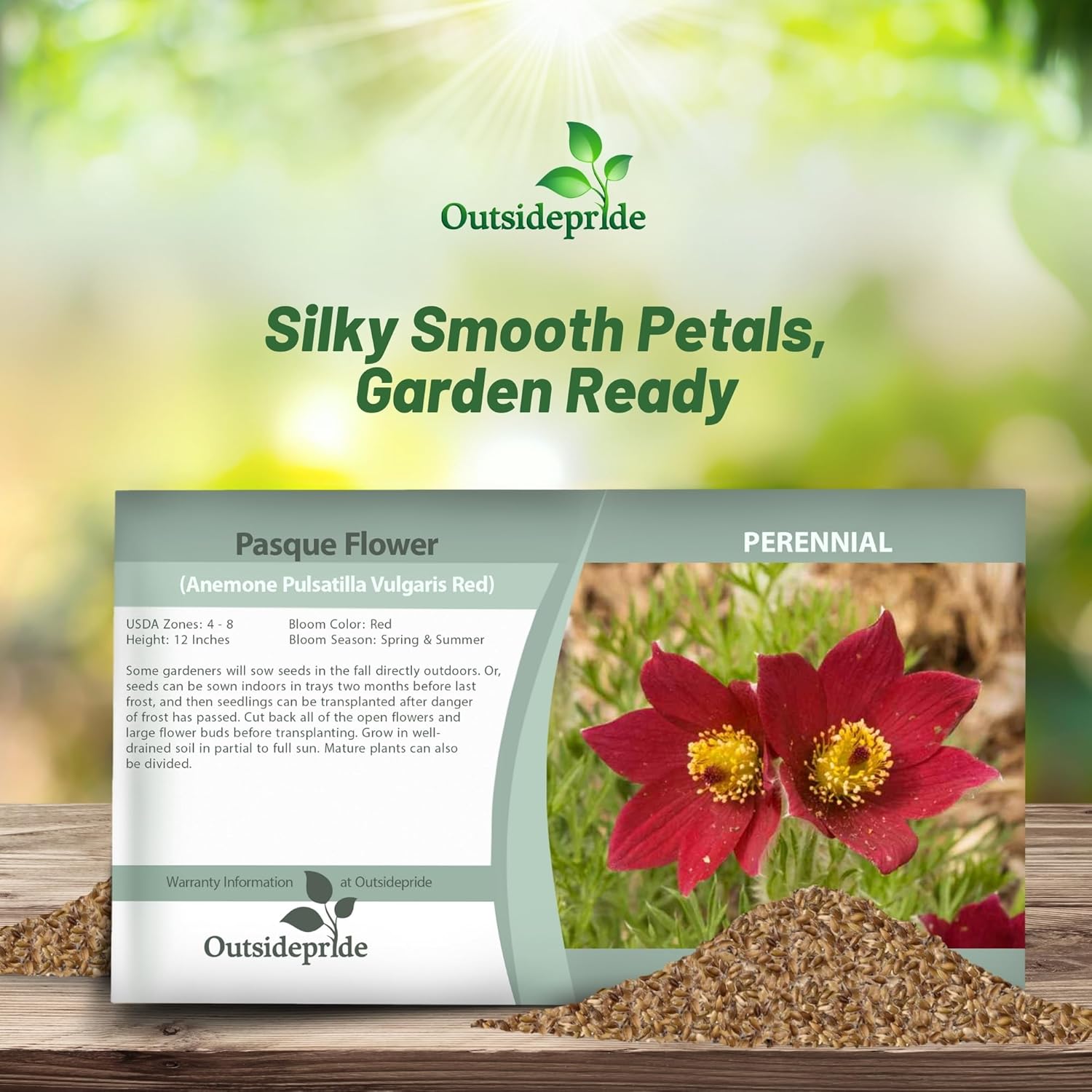 Anemone Pulsatilla Red Seed Packet