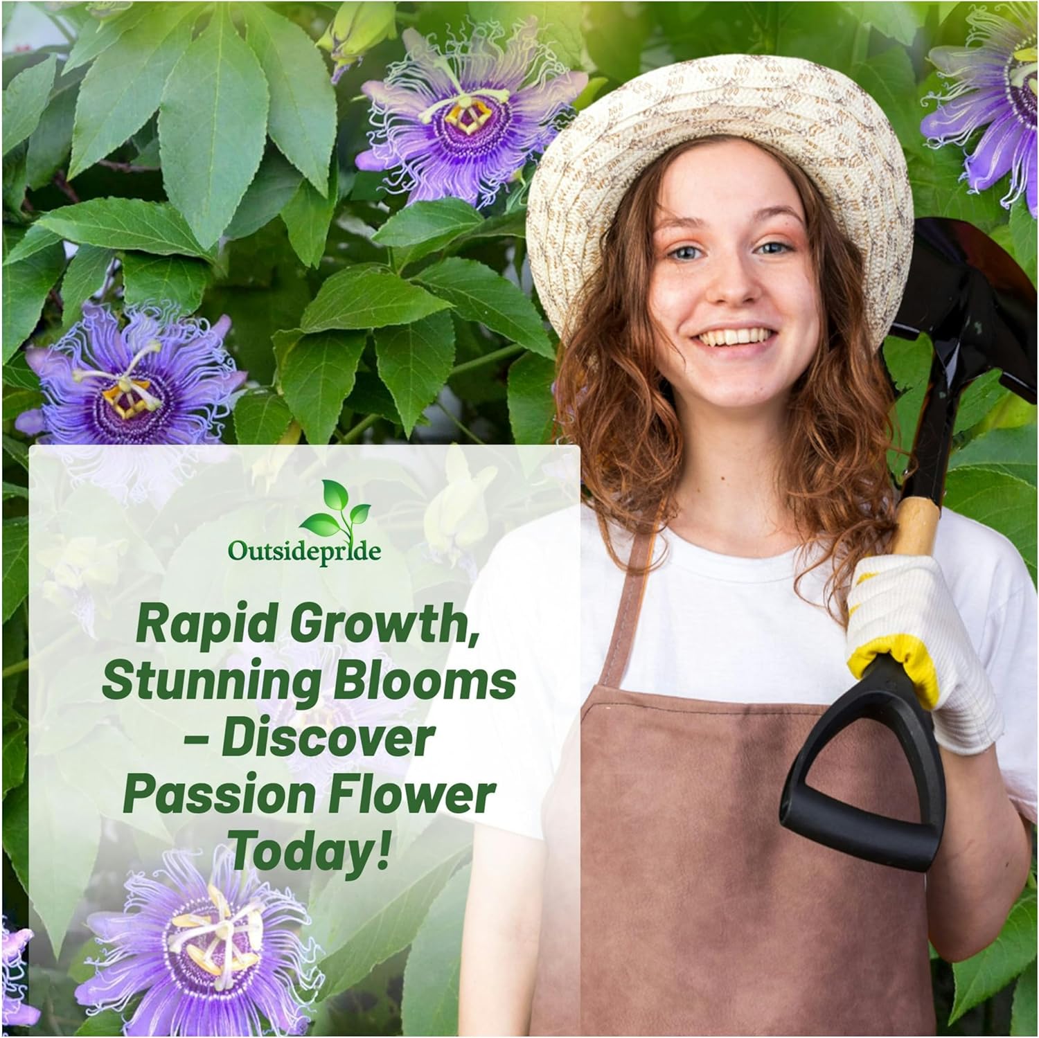 Passion Flower Container Plants