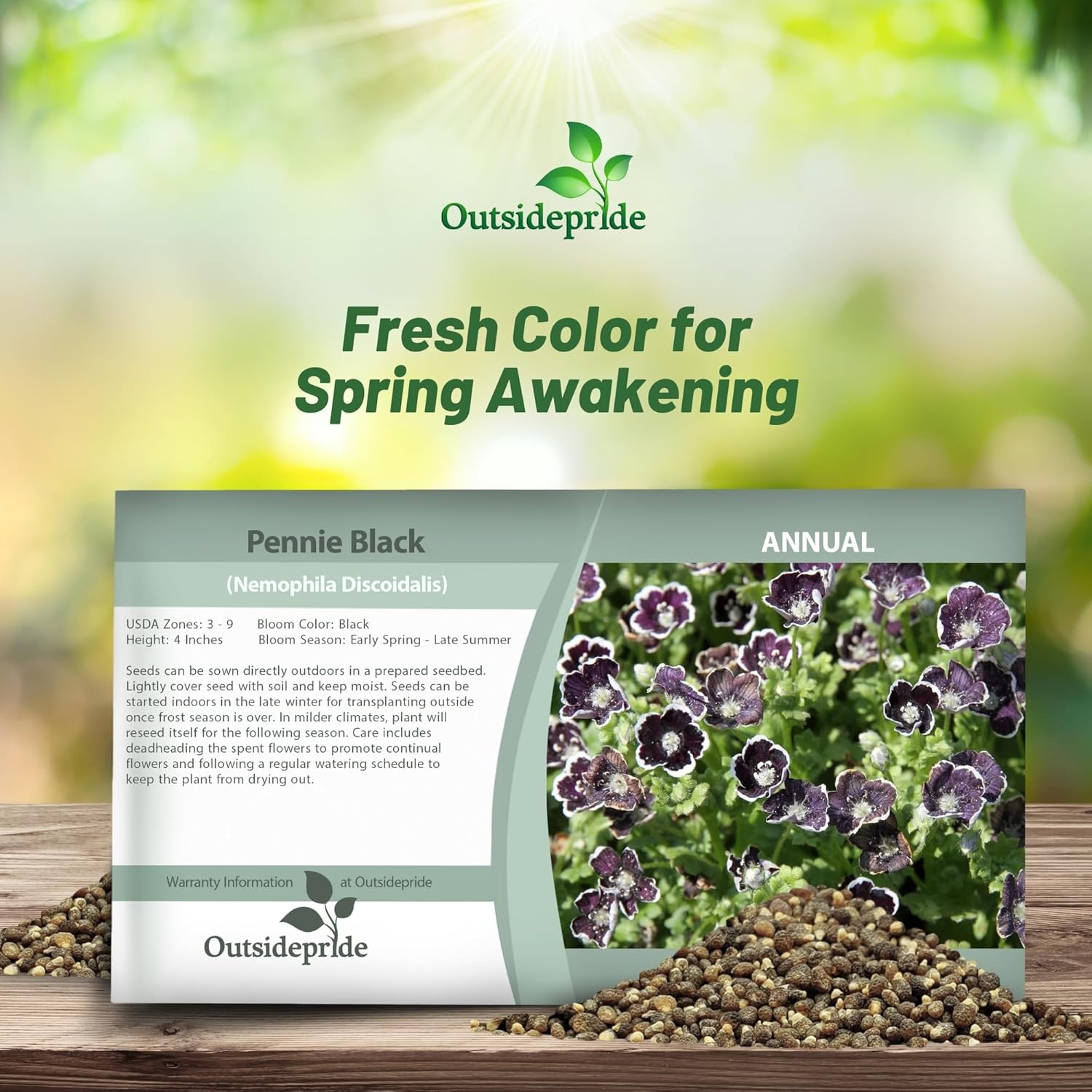 Pennie Black Flower Seed Packet