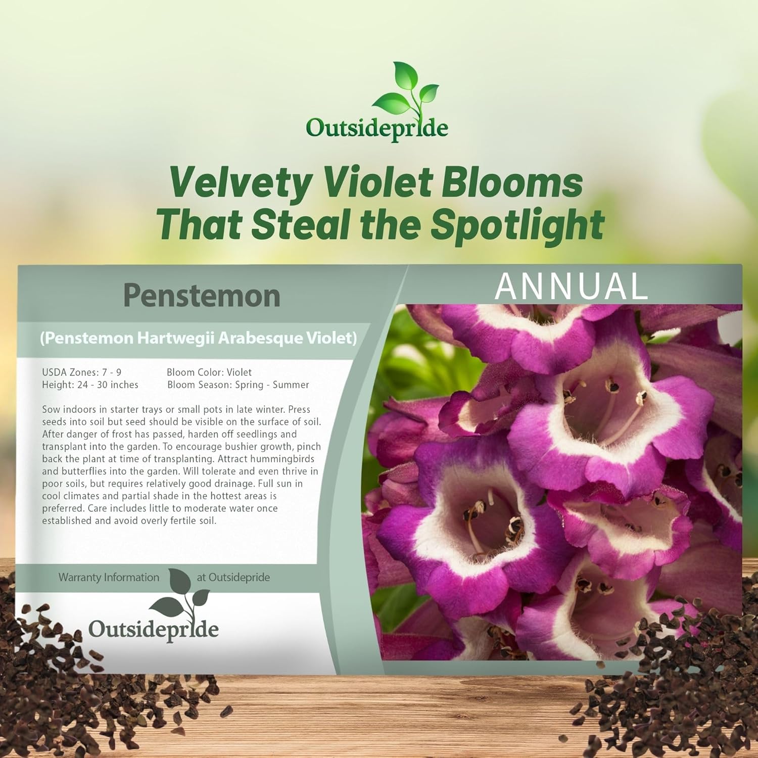 Penstemon Violet Seed Packet