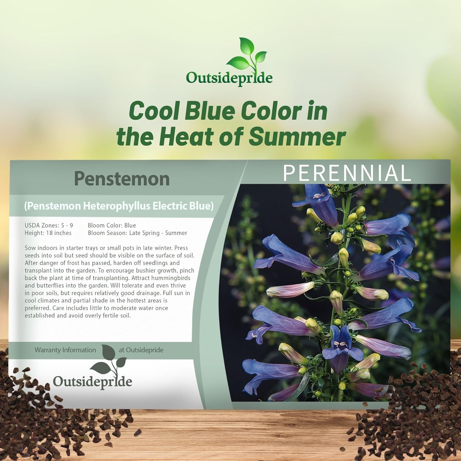 Penstemon Electric Blue Seed Packet