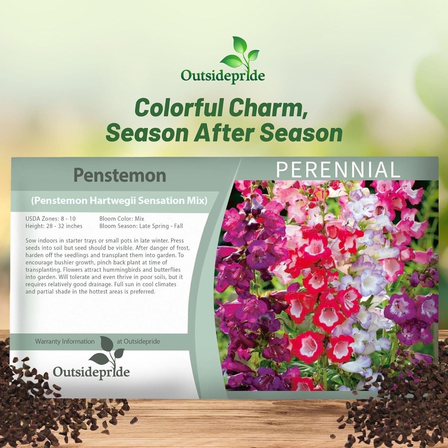 Penstemon Hartwegii Sensation Seed Packet