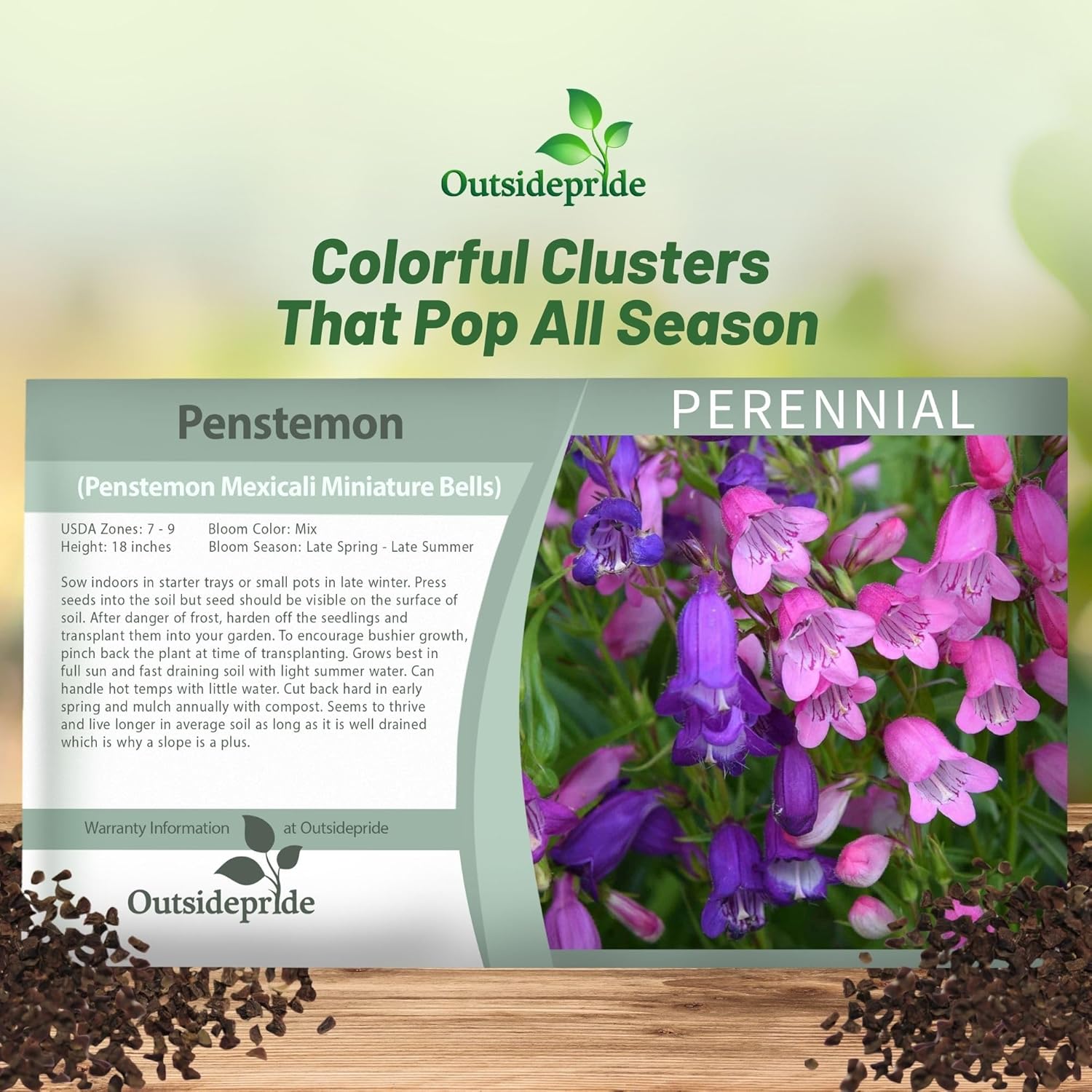 Penstemon Miniature Bells Seed Packet