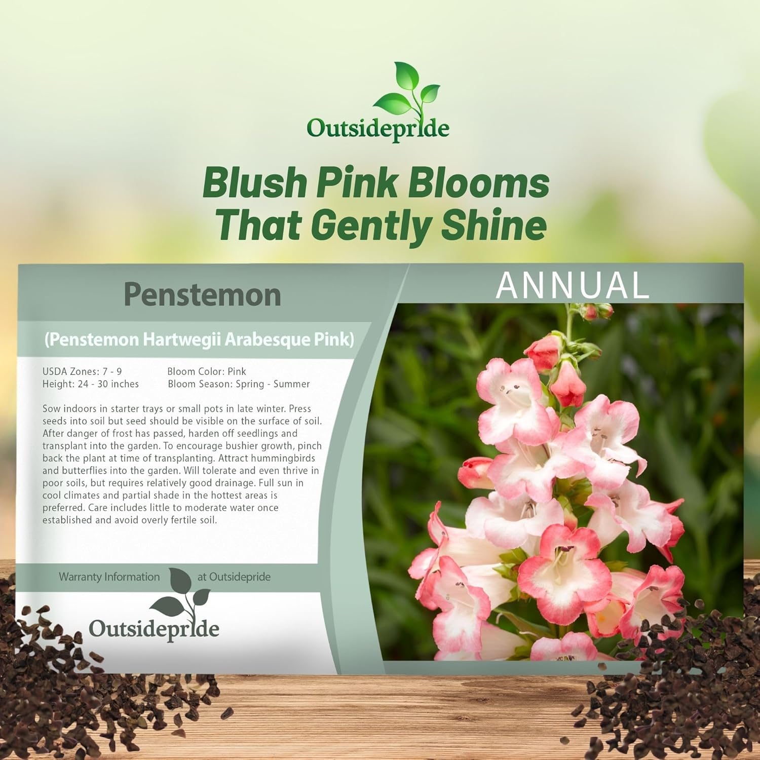Penstemon Pink Seed Packet