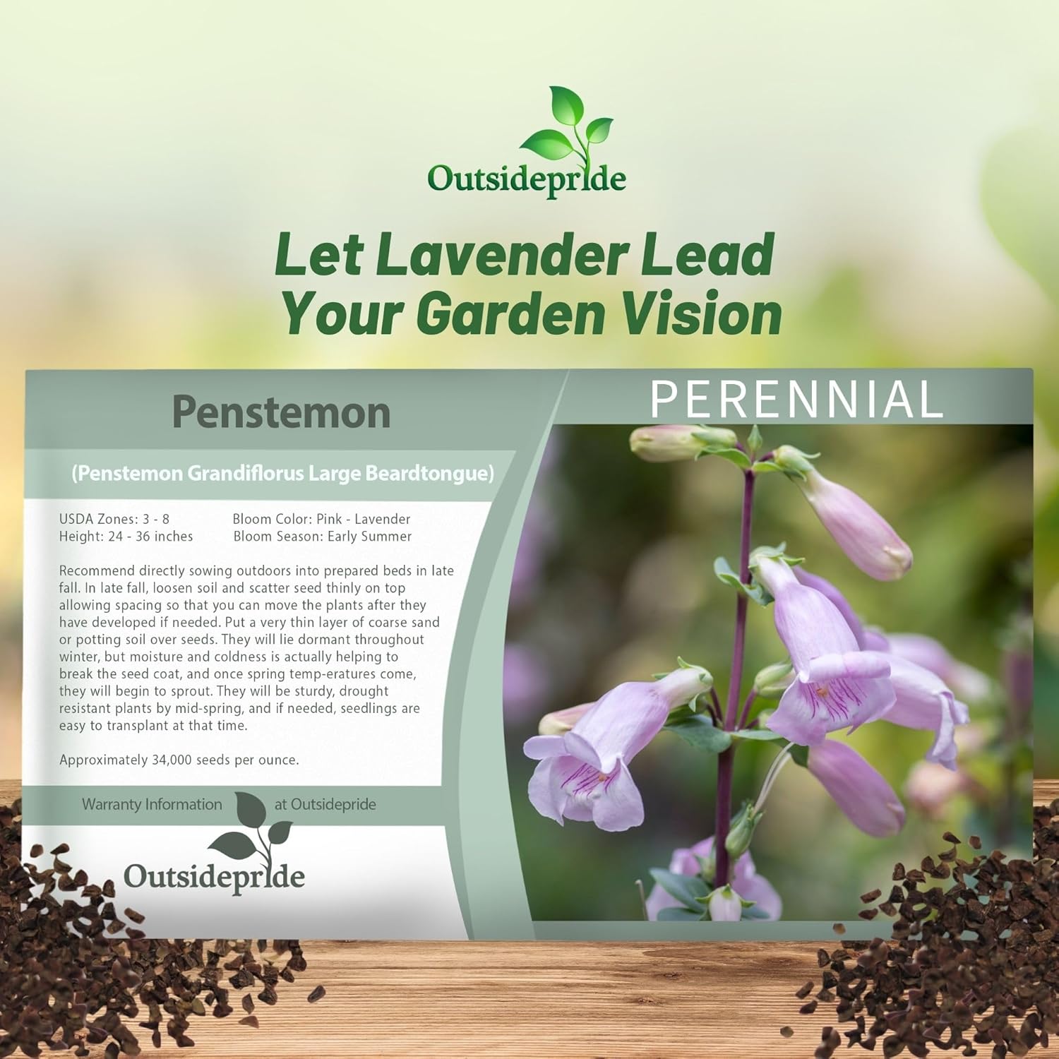 Penstemon Shell-leaf Seed Packet
