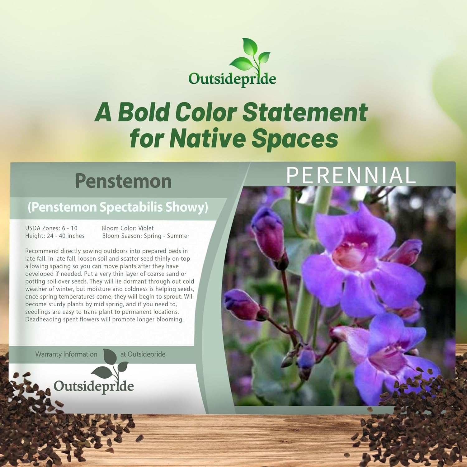 Penstemon Showy Seed Packet