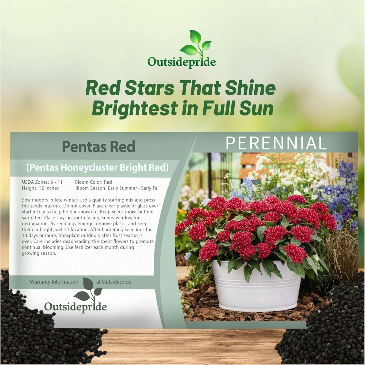 Pentas Red Flower Seed Packet